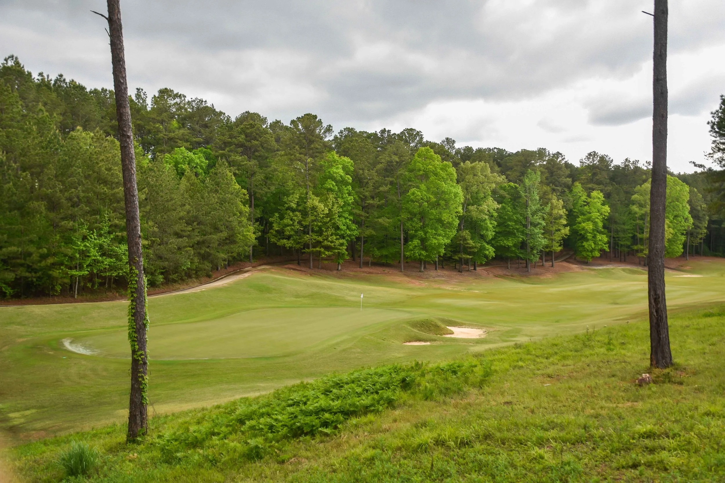 Dancing Rabbit - Oaks1-51.jpg