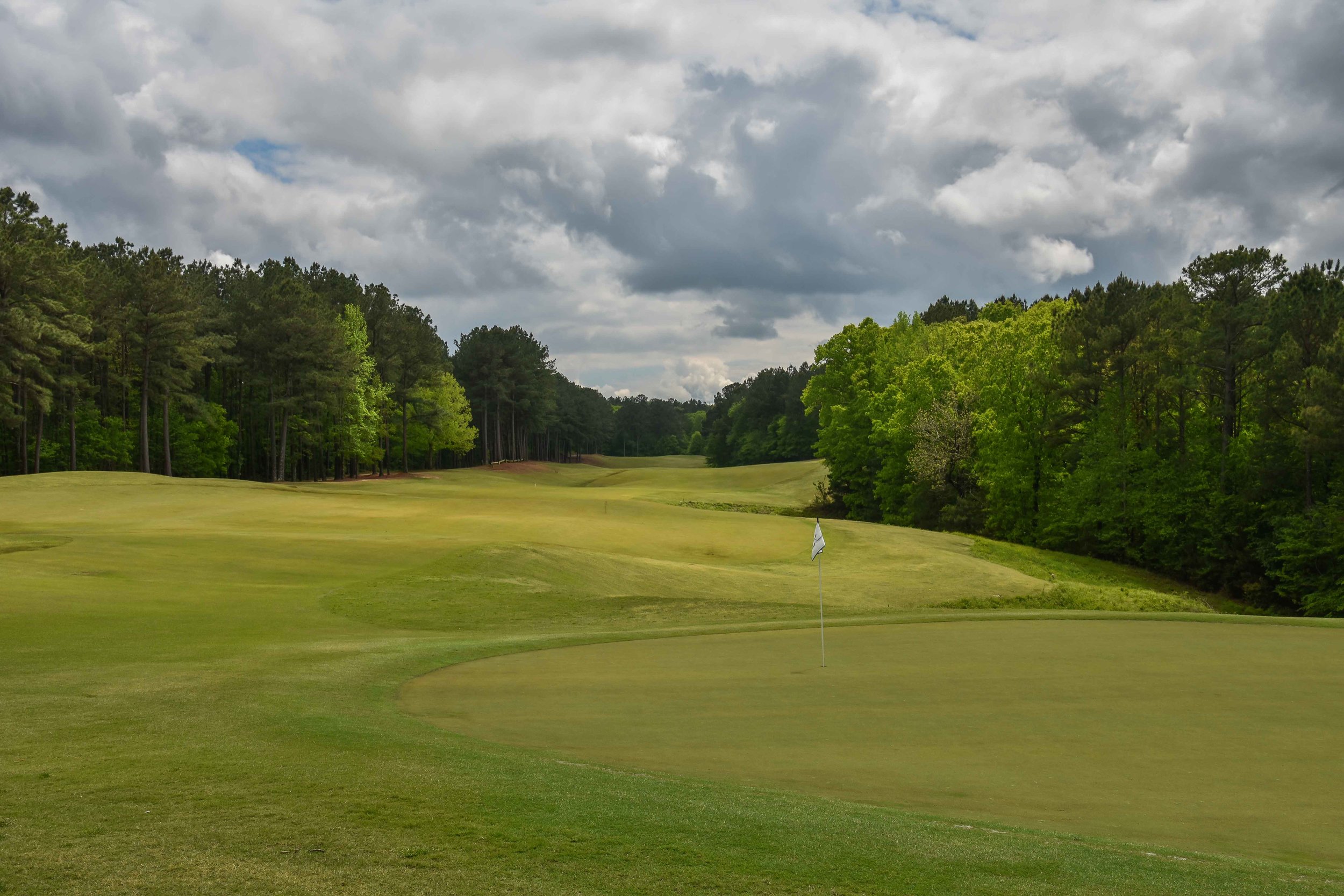 Dancing Rabbit - Oaks1-40.jpg