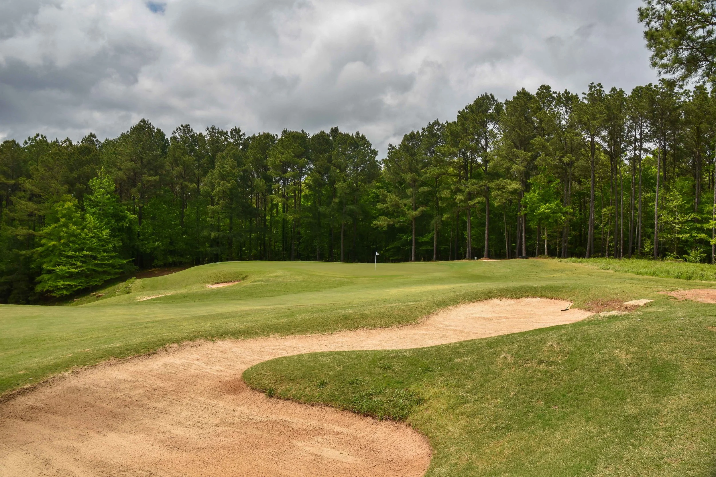 Dancing Rabbit - Oaks1-38.jpg