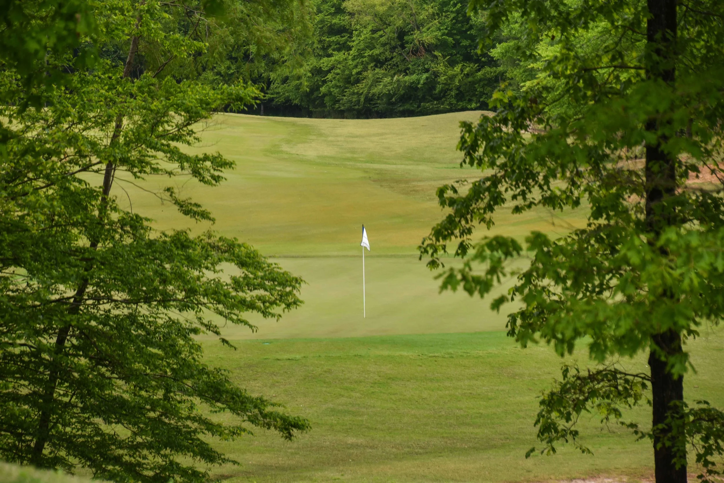 Dancing Rabbit - Oaks1-33.jpg
