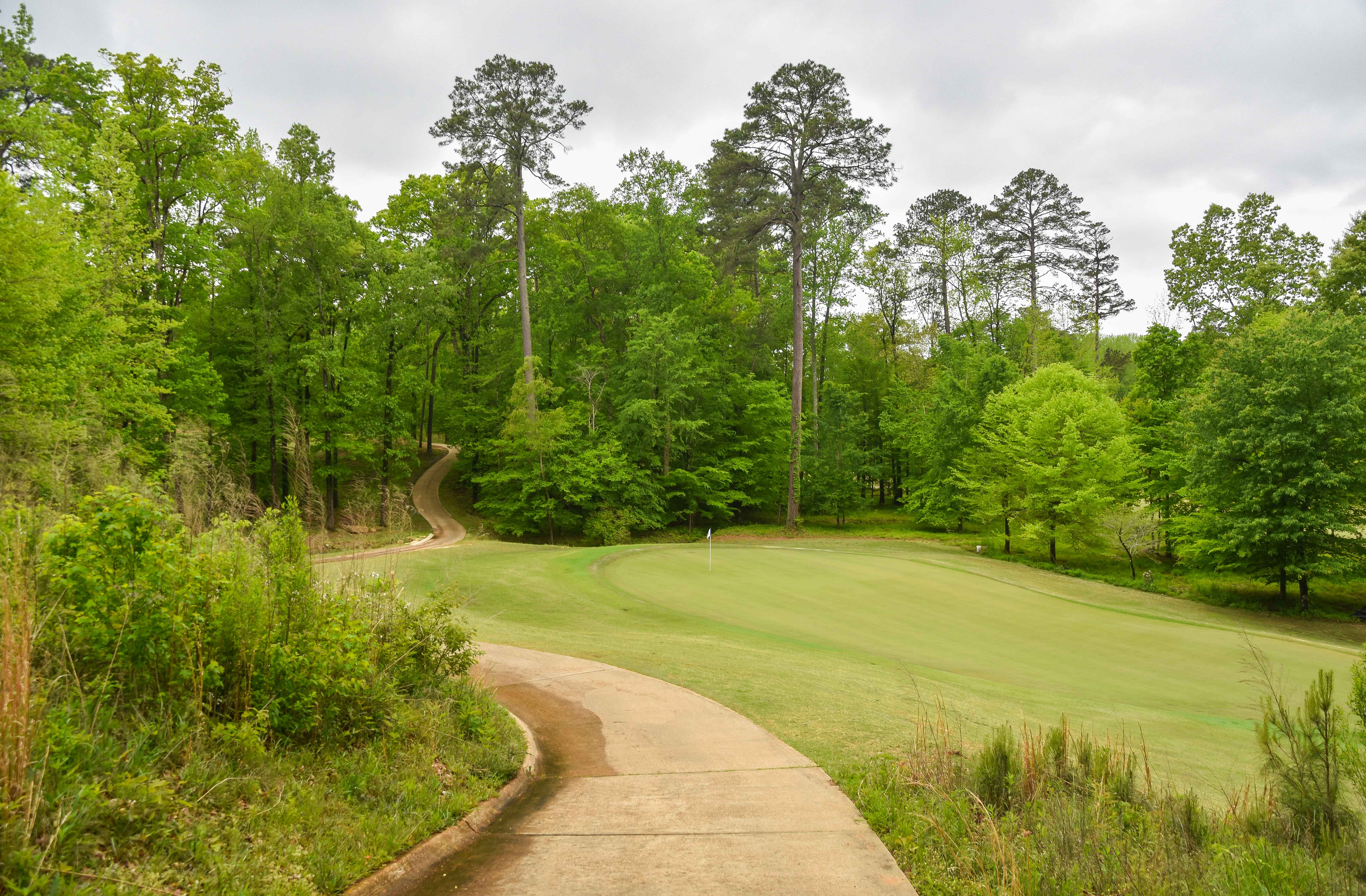 Dancing Rabbit - Oaks1-32.jpg