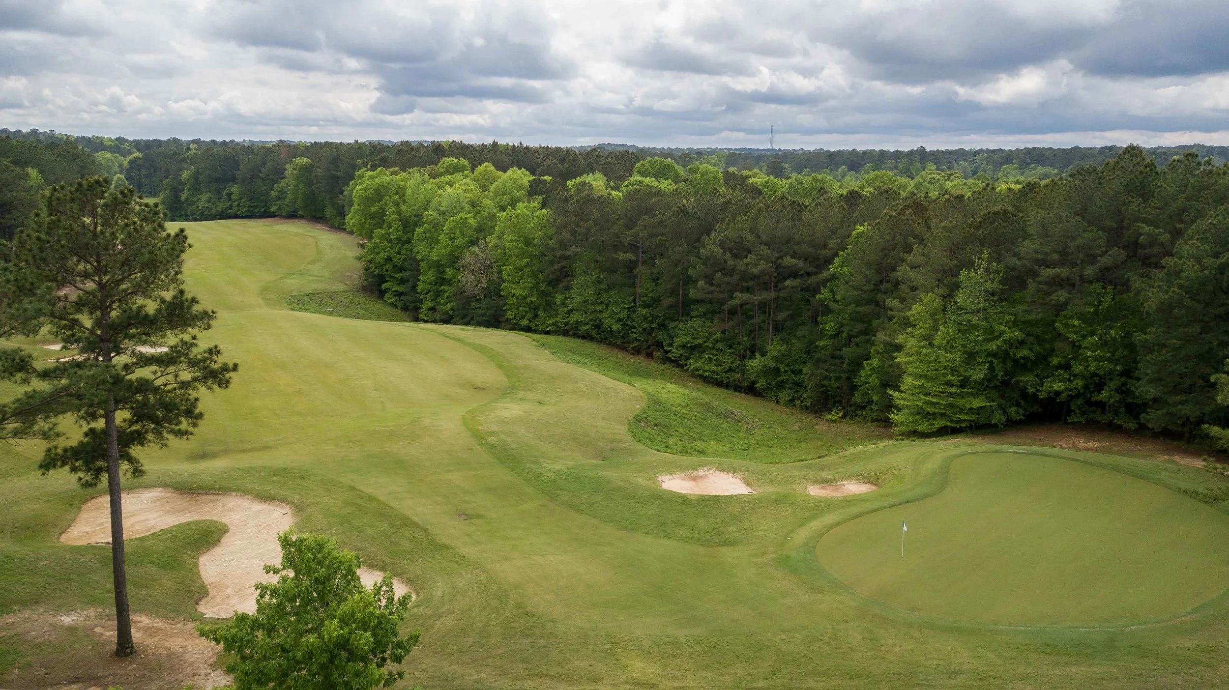 Dancing Rabbit - Oaks1-11.jpg
