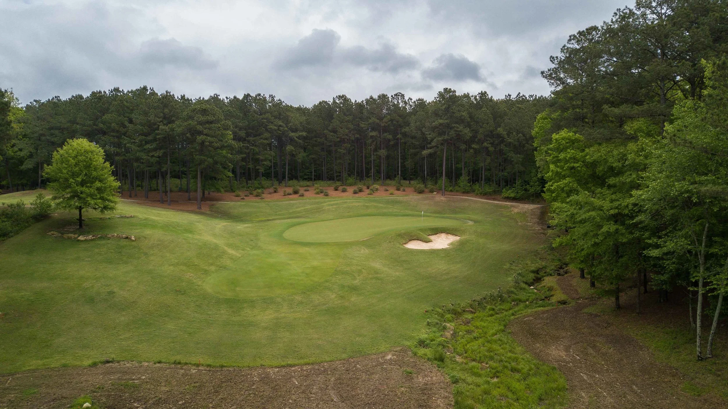 Dancing Rabbit - Oaks1-8.jpg