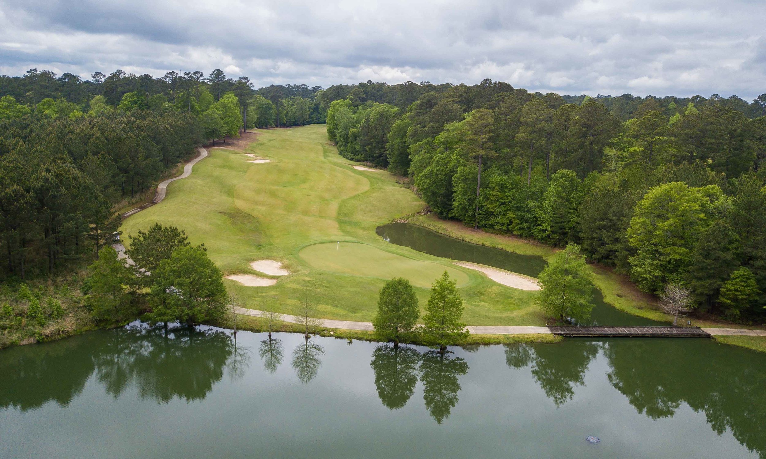 Dancing Rabbit - Oaks1-2.jpg