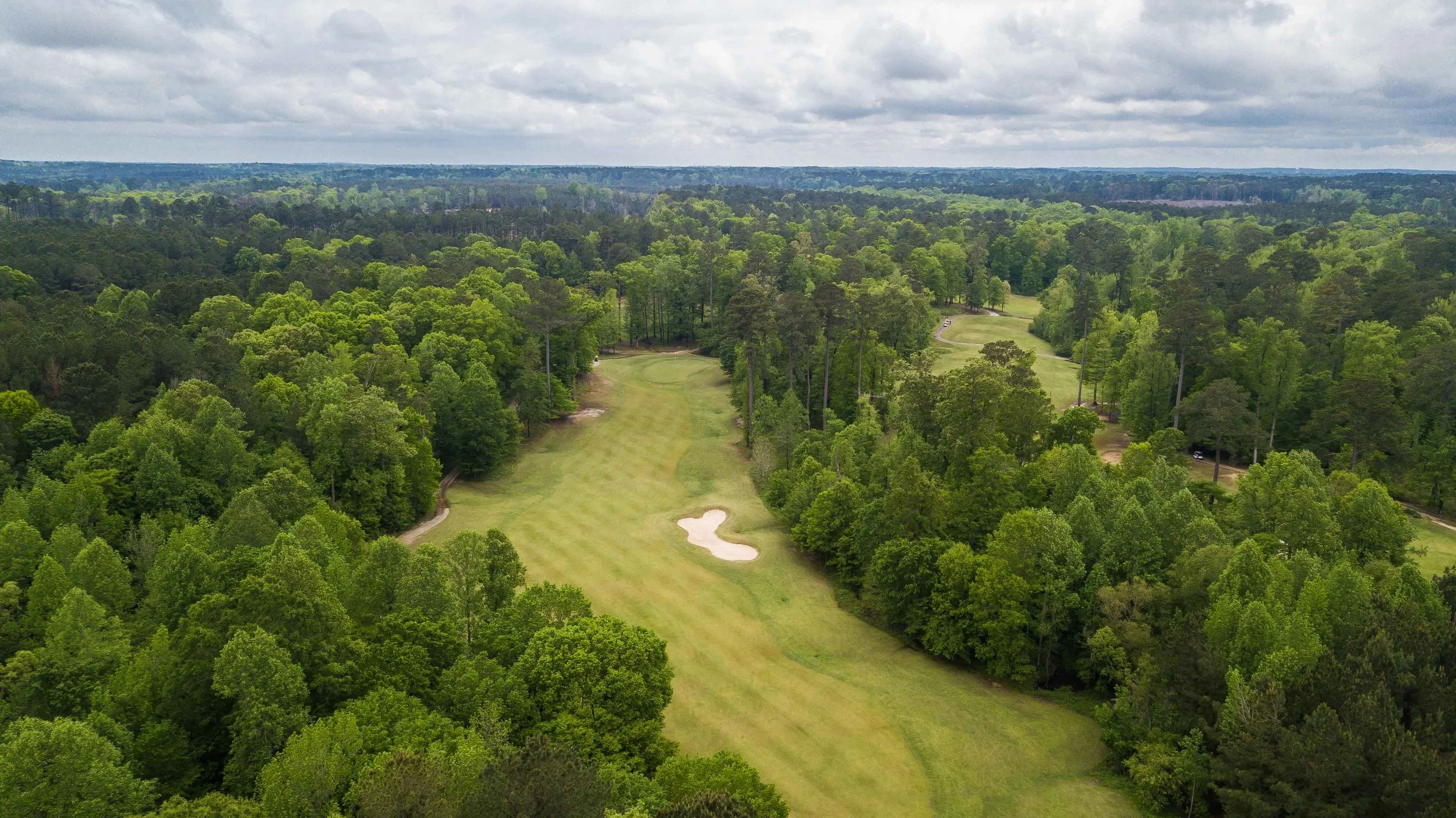 Dancing Rabbit - Oaks1-3.jpg