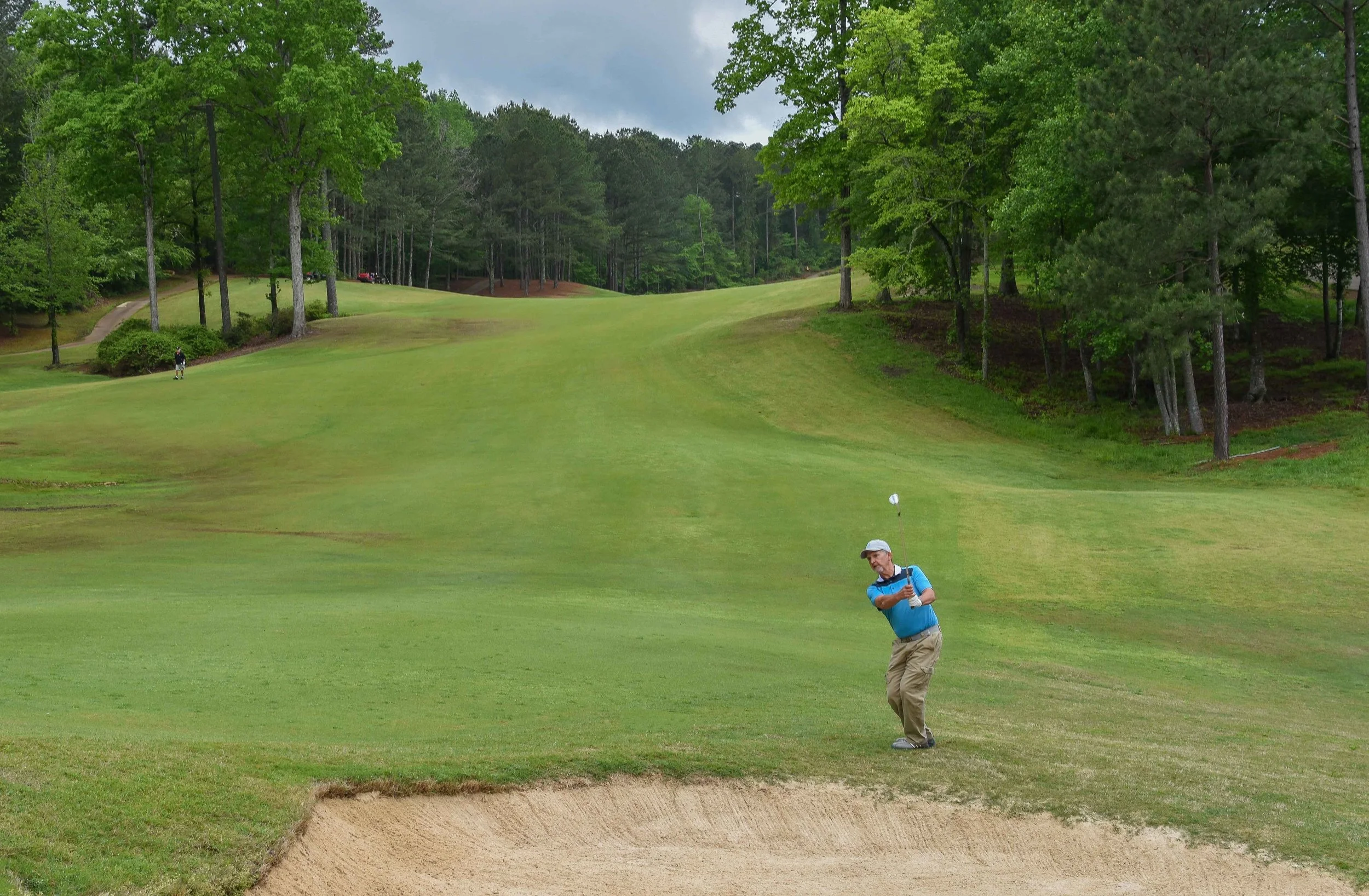 Dancing Rabbit - Azaleas1-21.jpg