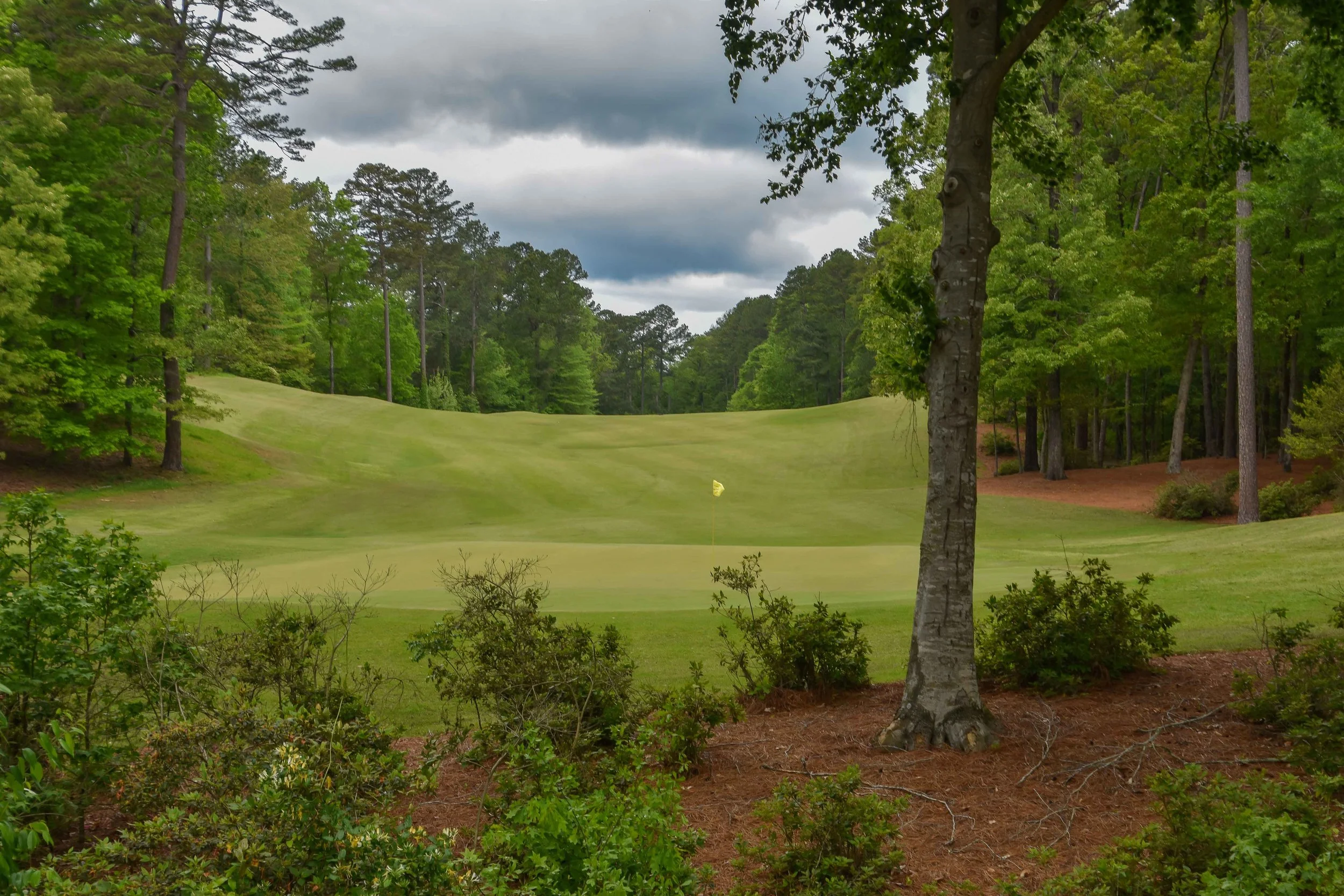 Dancing Rabbit - Azaleas1-52.jpg