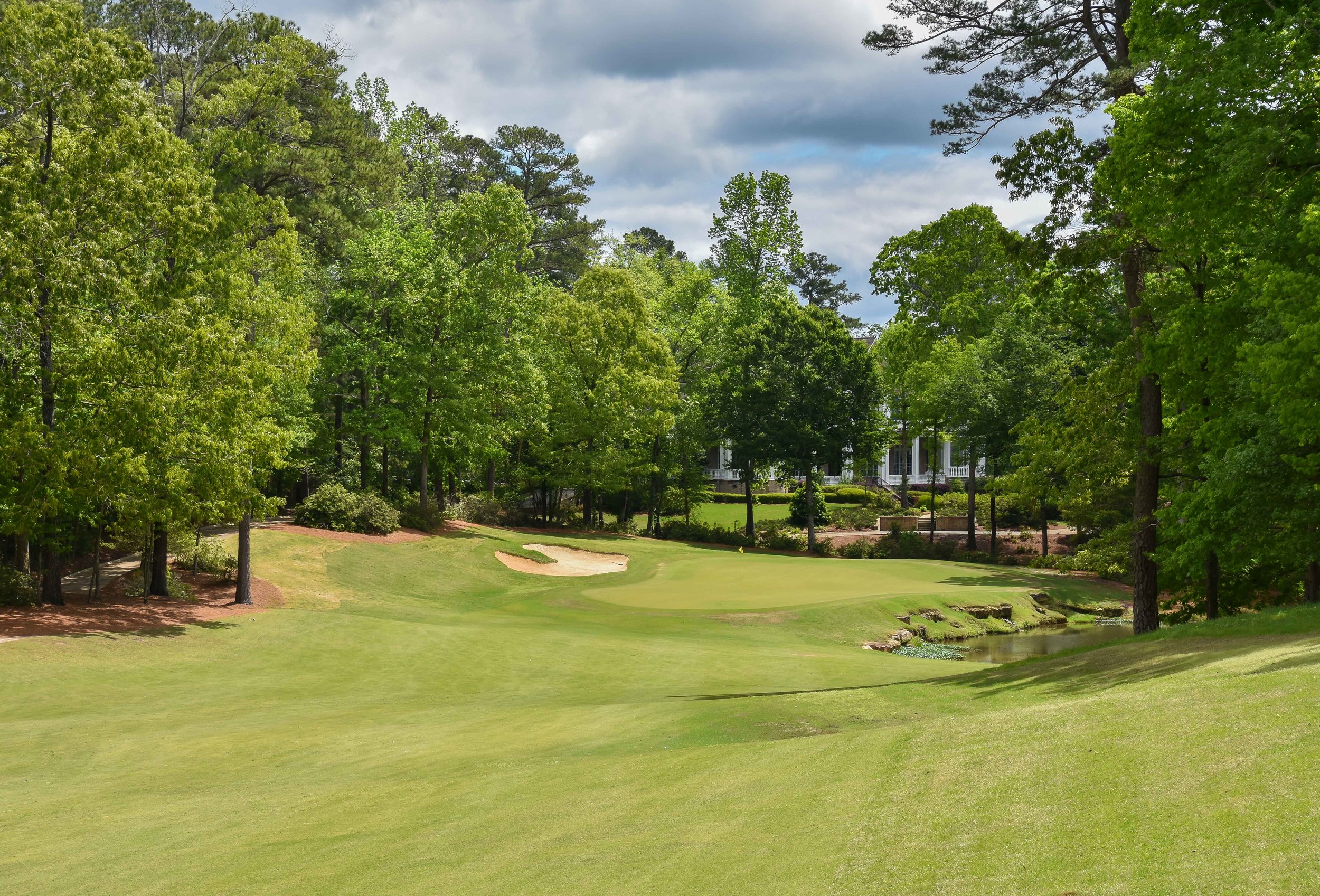 Dancing Rabbit - Azaleas1-50.jpg