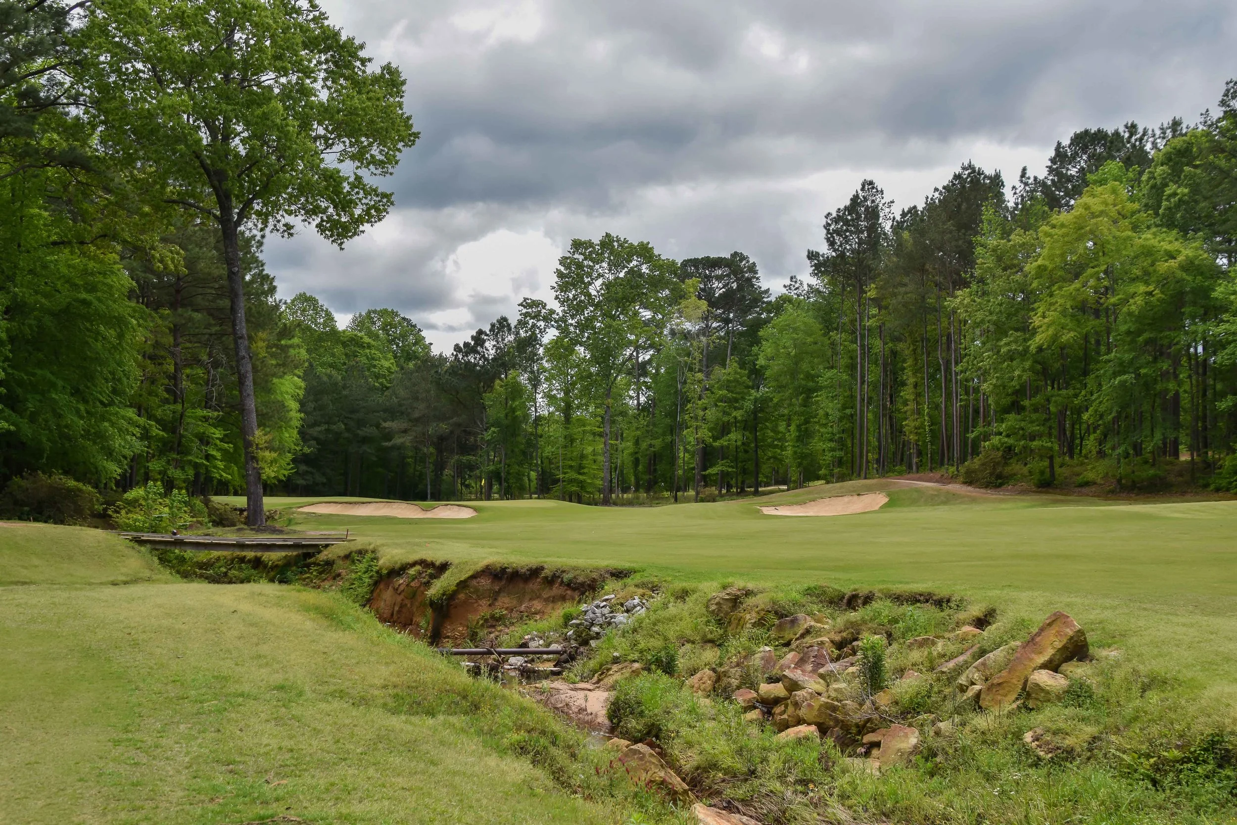 Dancing Rabbit - Azaleas1-47.jpg