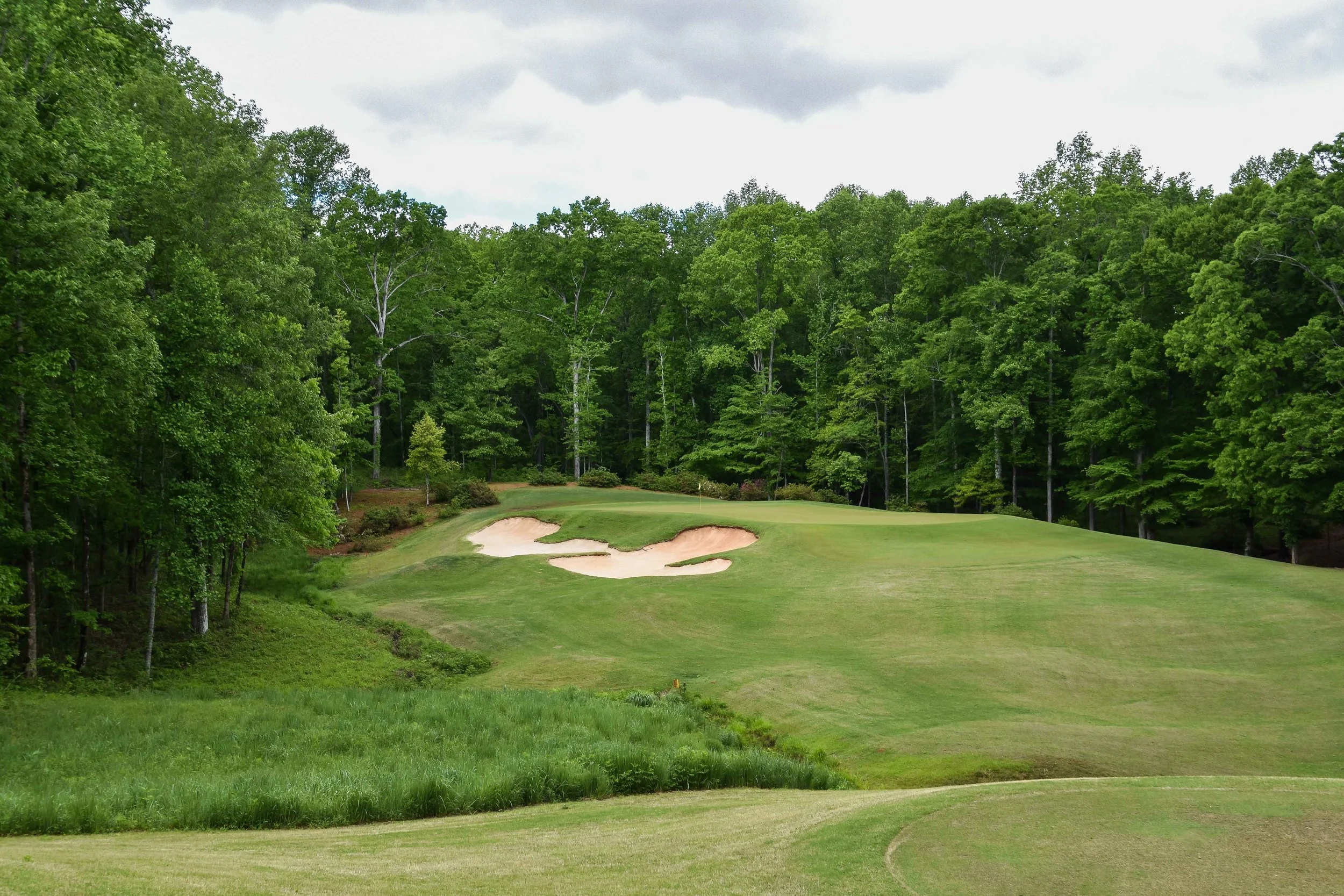 Dancing Rabbit - Azaleas1-45.jpg