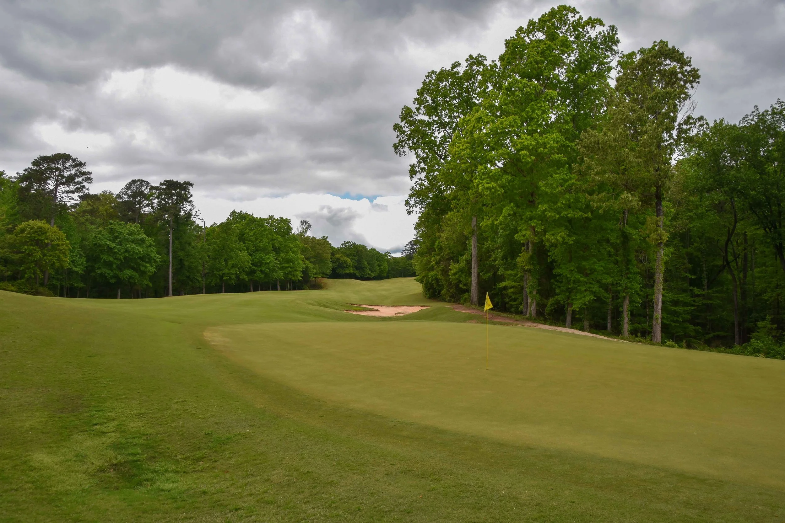Dancing Rabbit - Azaleas1-44.jpg