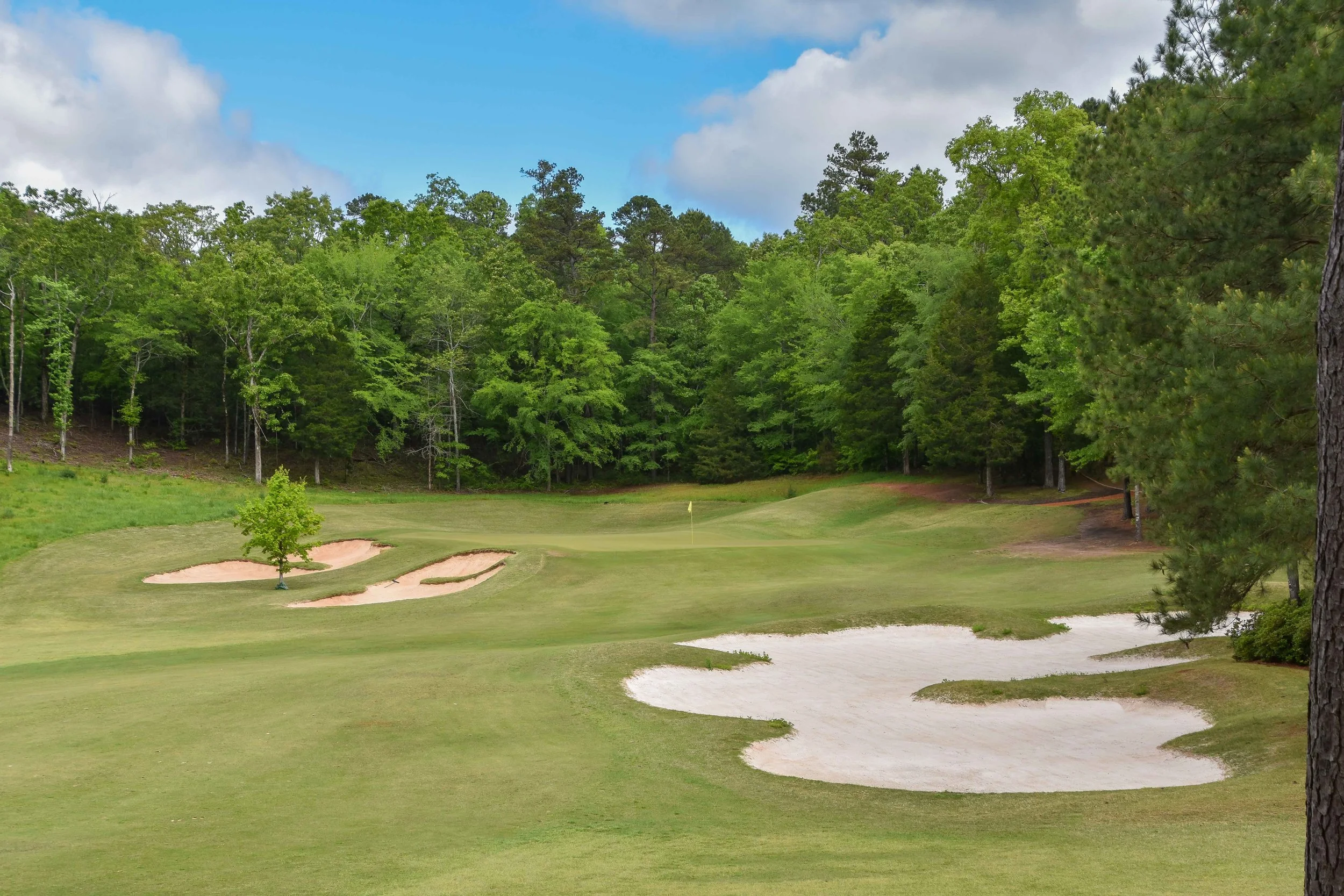 Dancing Rabbit - Azaleas1-41.jpg