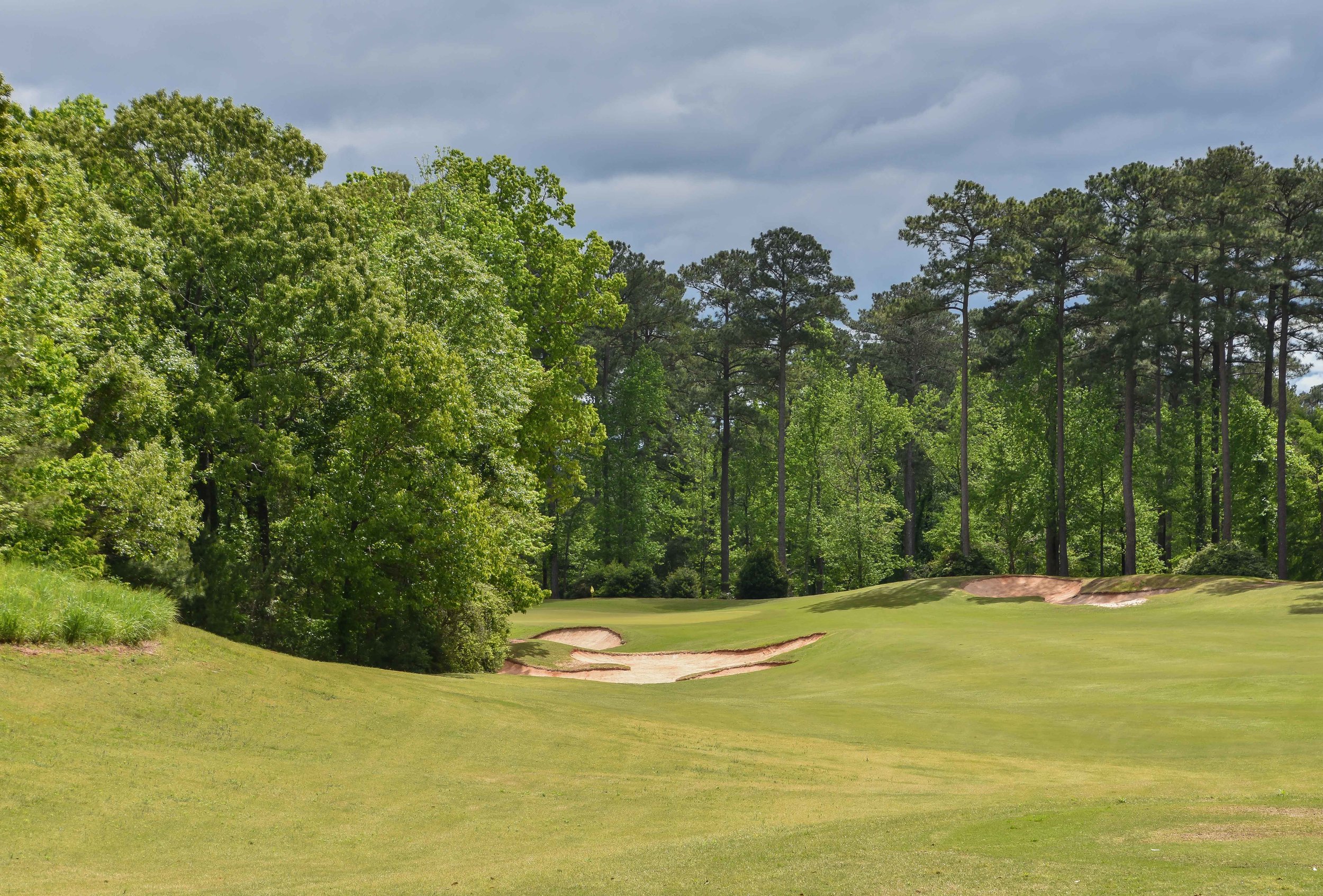 Dancing Rabbit - Azaleas1-42.jpg