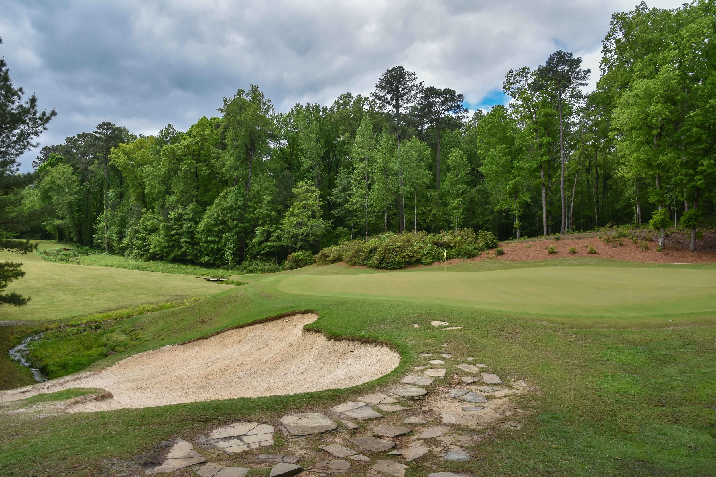 Dancing Rabbit - Azaleas1-38.jpg