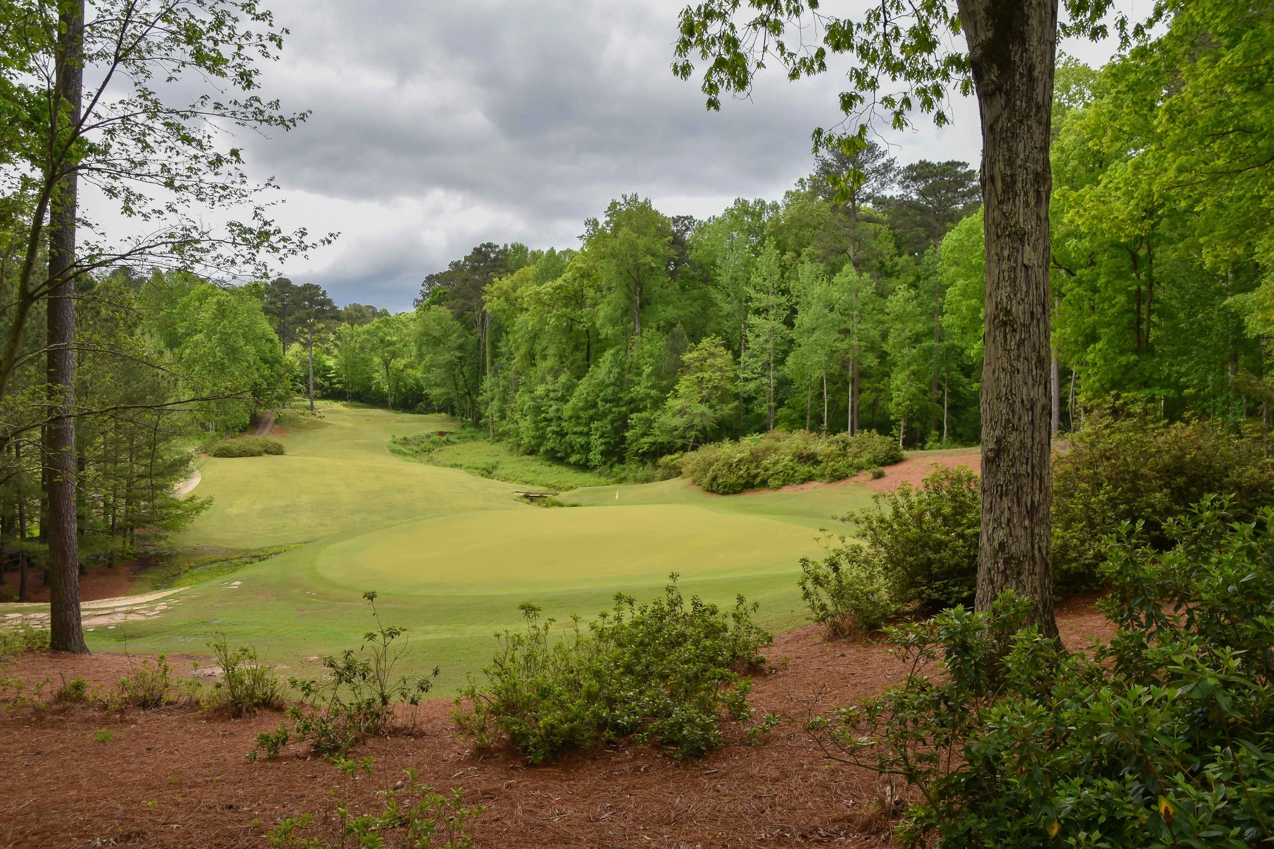 Dancing Rabbit - Azaleas1-39.jpg