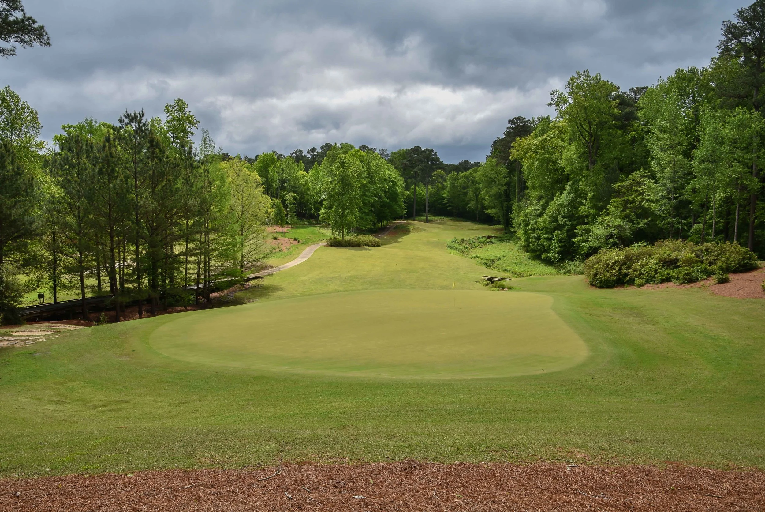 Dancing Rabbit - Azaleas1-37.jpg