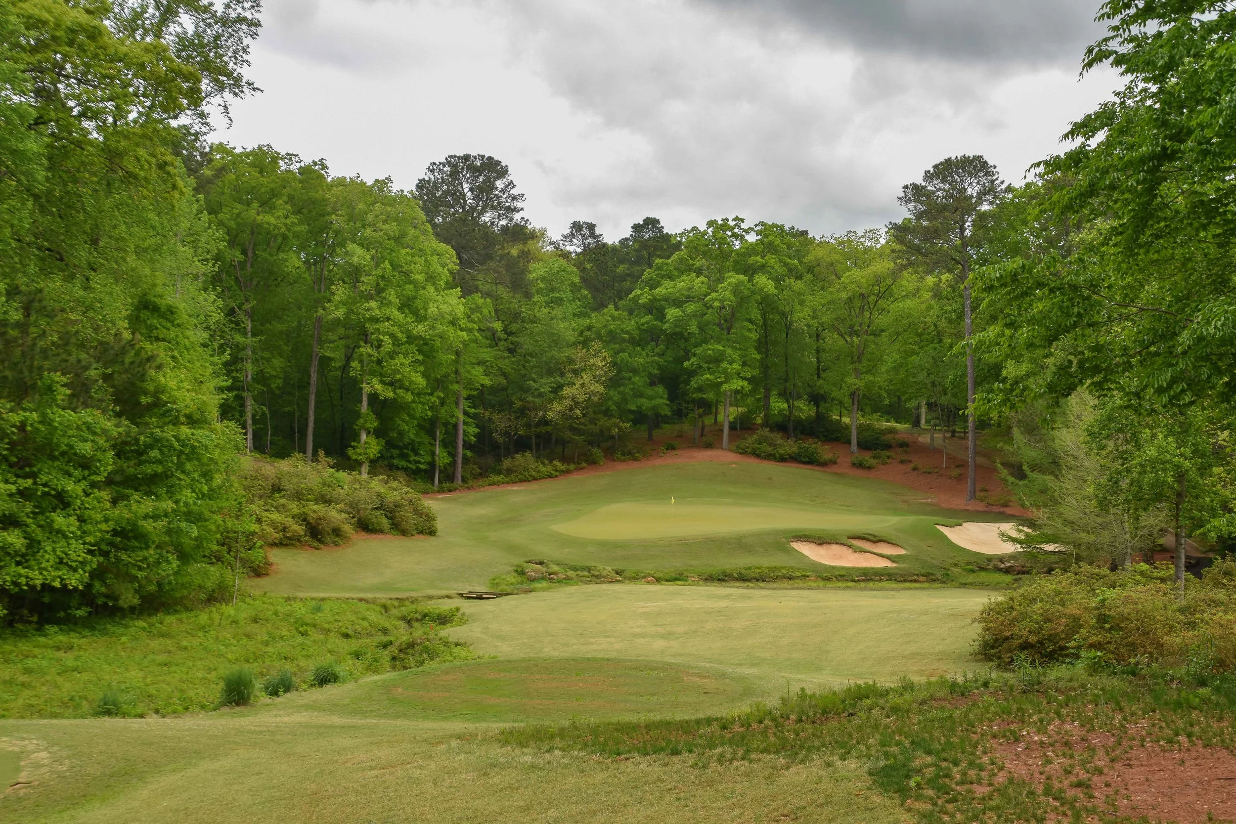 Dancing Rabbit - Azaleas1-34.jpg