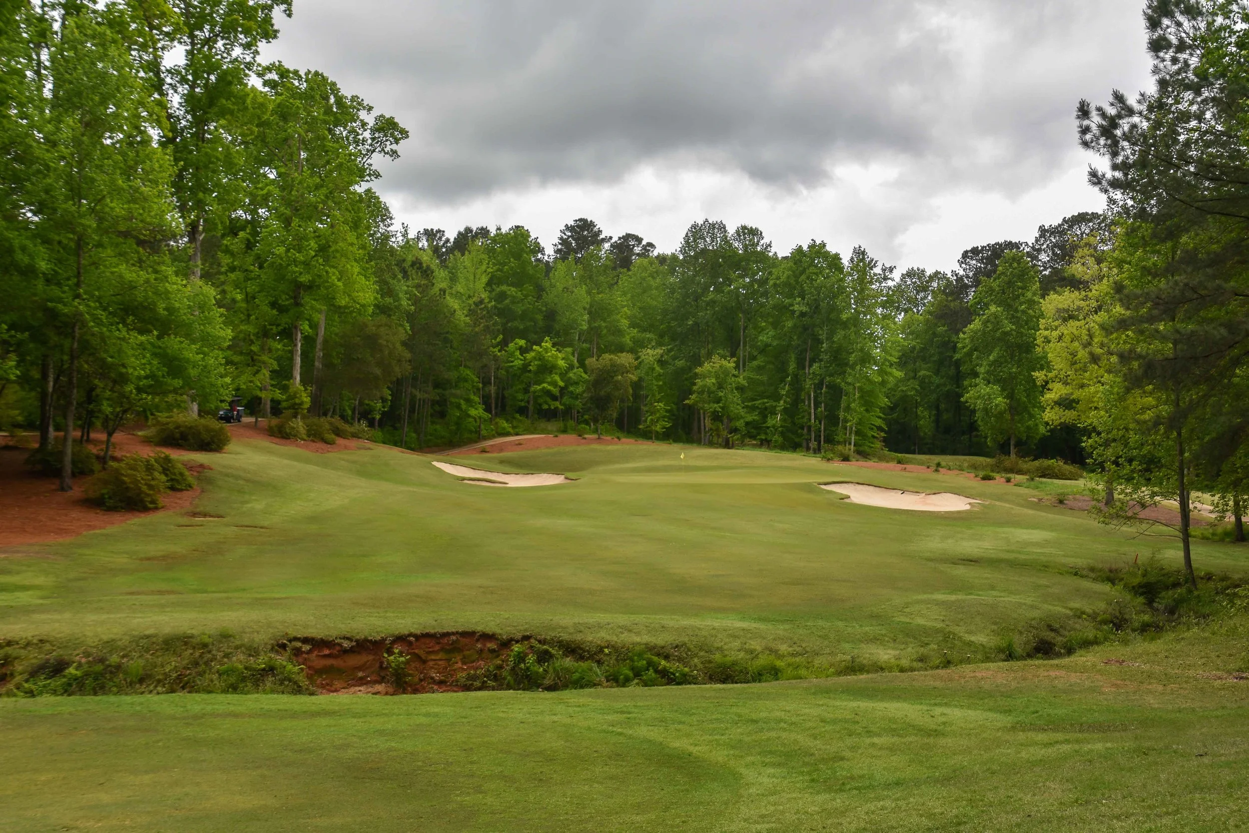 Dancing Rabbit - Azaleas1-32.jpg