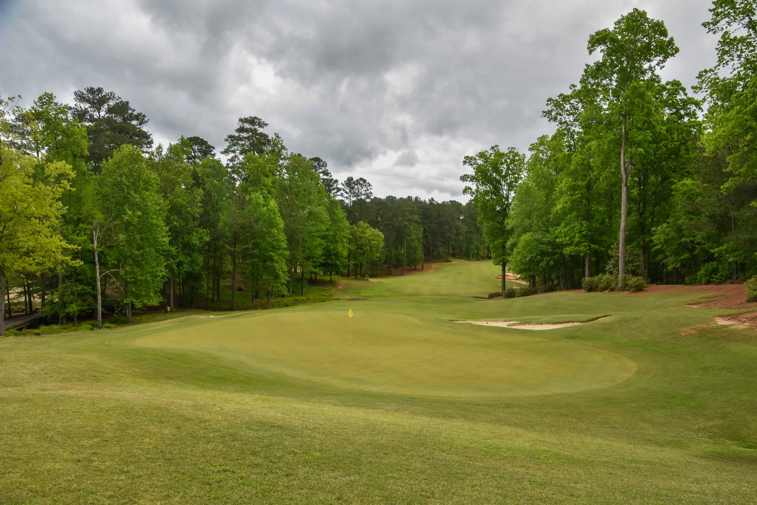 Dancing Rabbit - Azaleas1-33.jpg