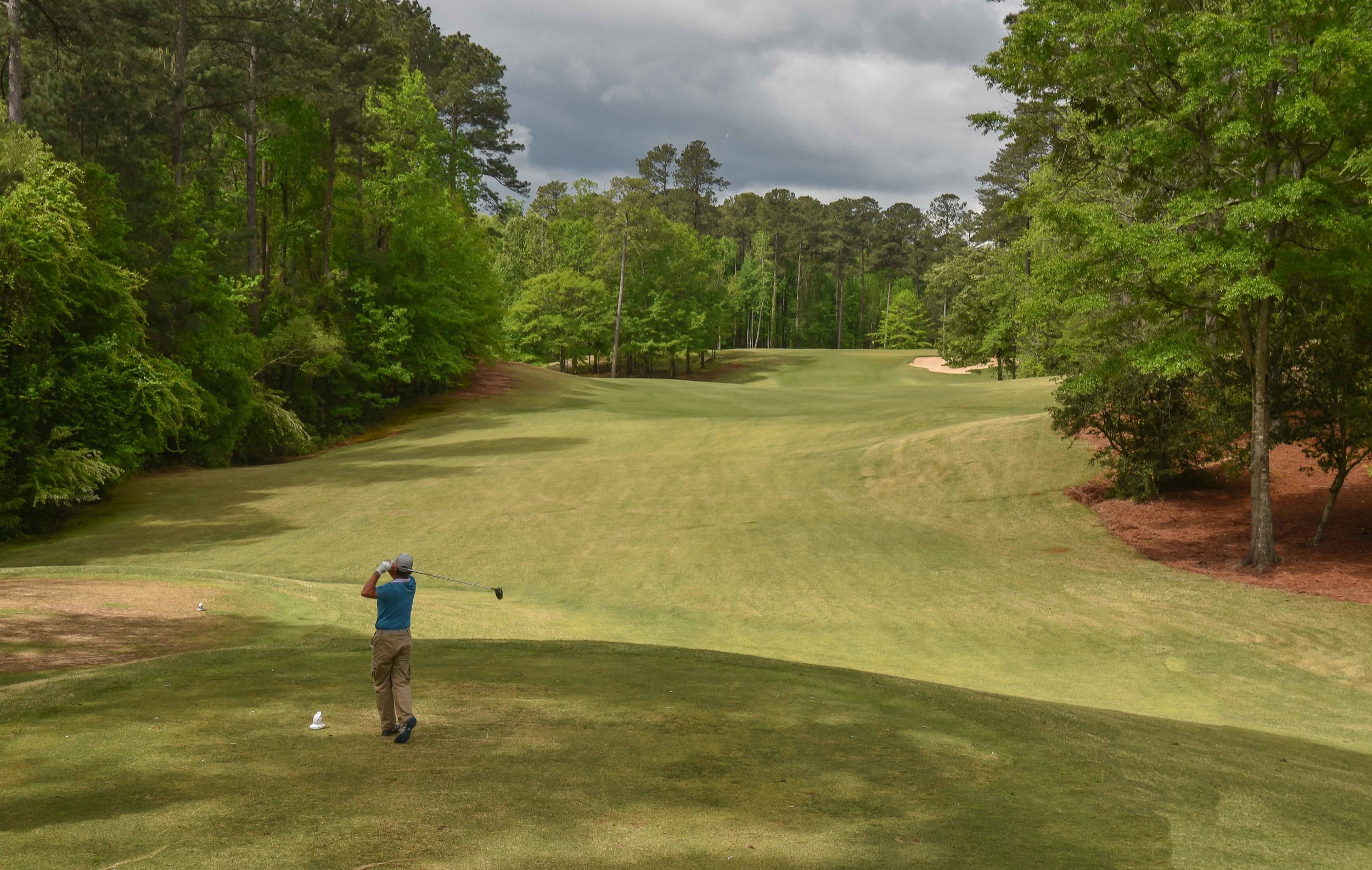 Dancing Rabbit - Azaleas1-30.jpg