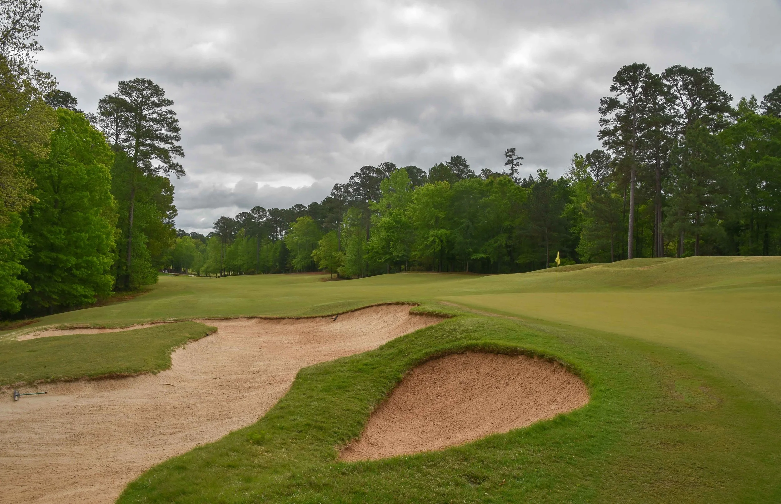 Dancing Rabbit - Azaleas1-29.jpg