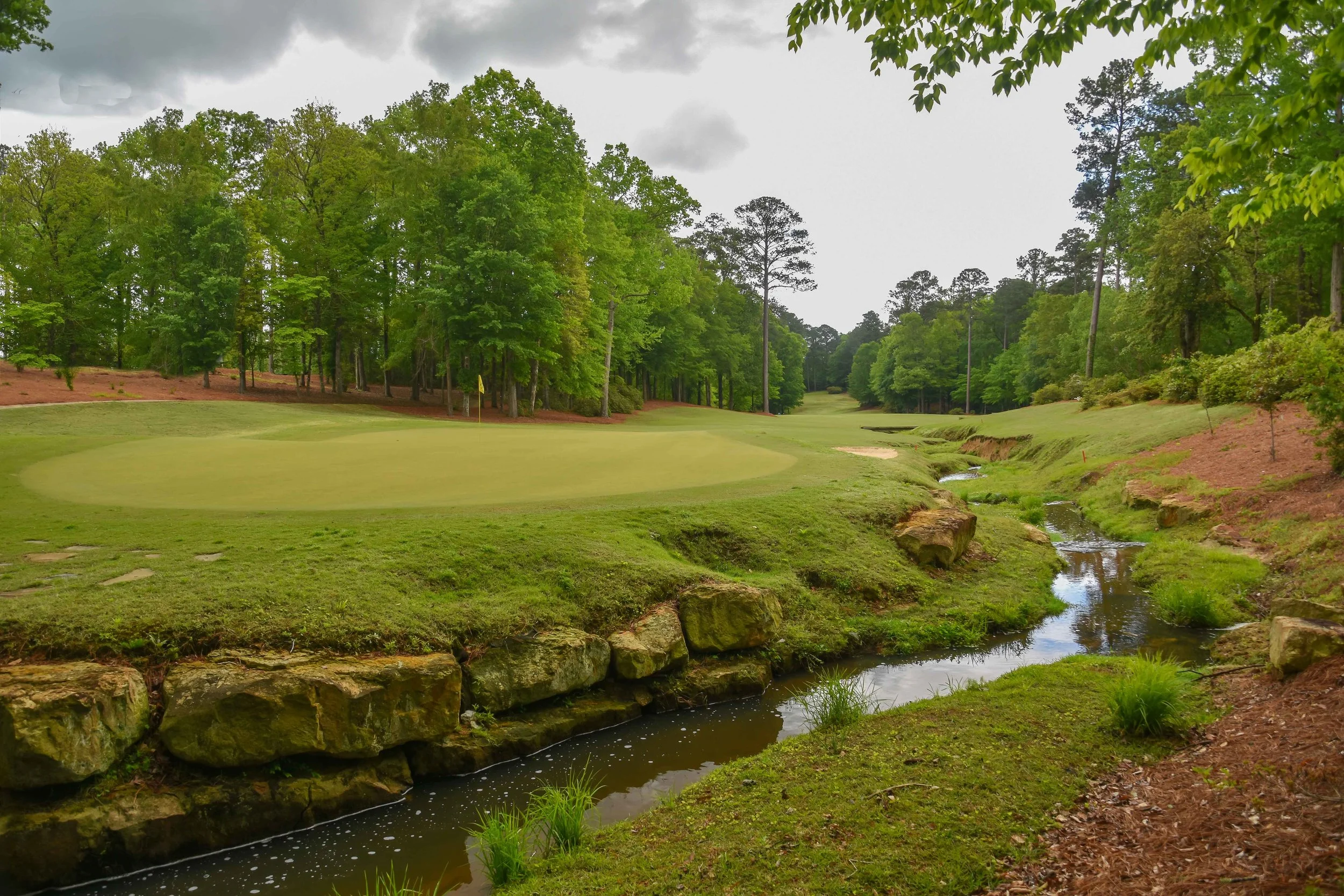 Dancing Rabbit - Azaleas1-25.jpg