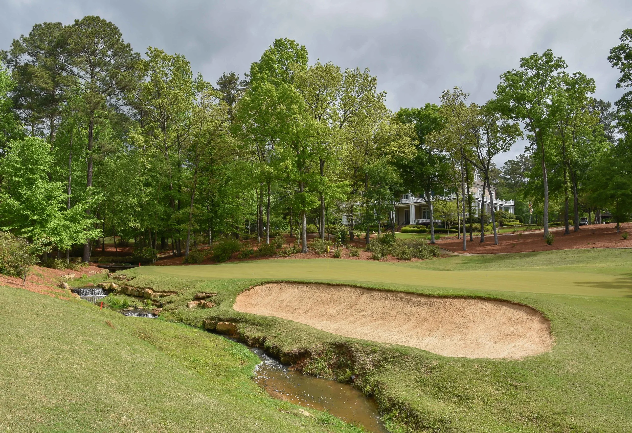 Dancing Rabbit - Azaleas1-24.jpg