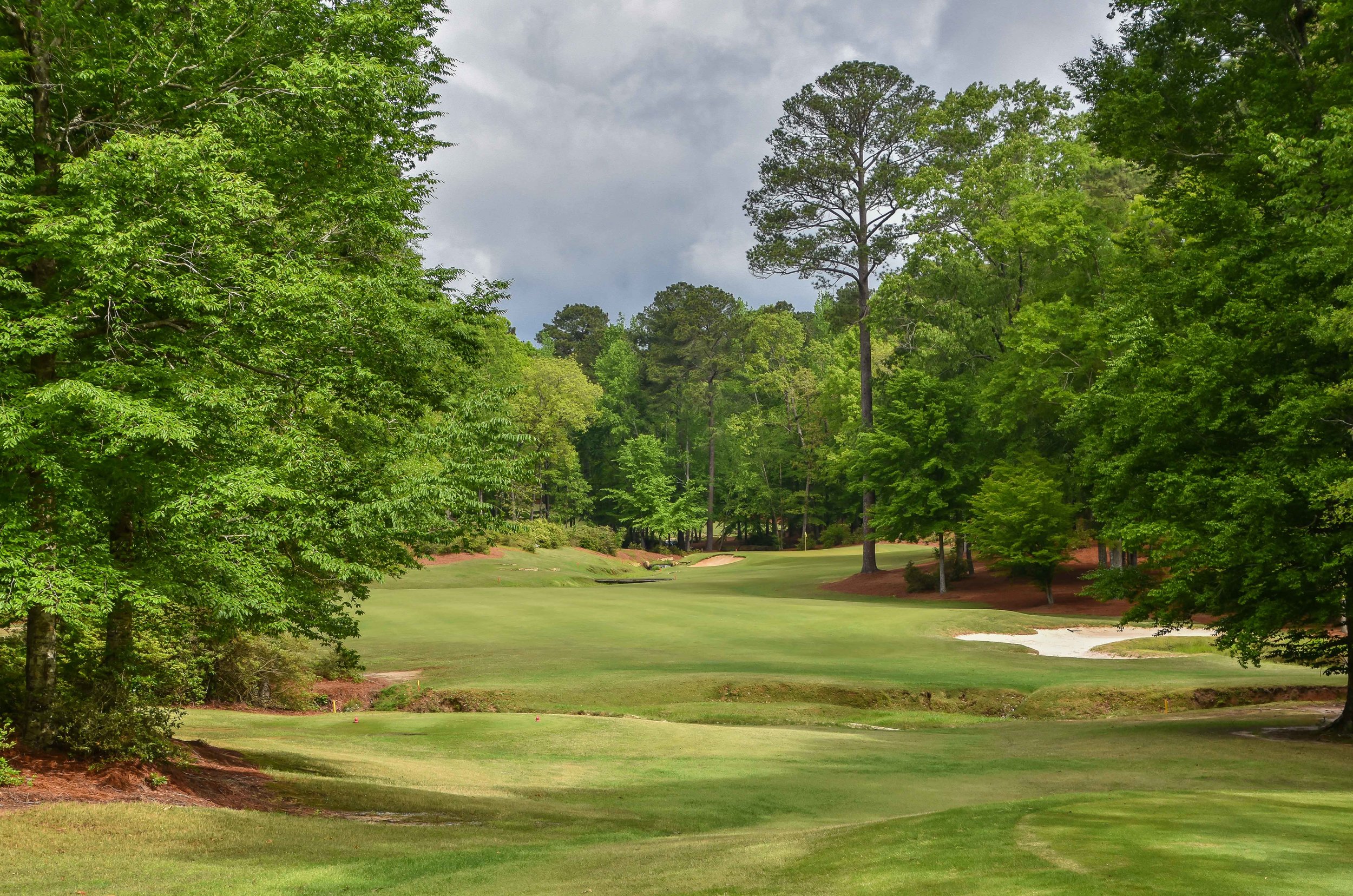 Dancing Rabbit - Azaleas1-22.jpg