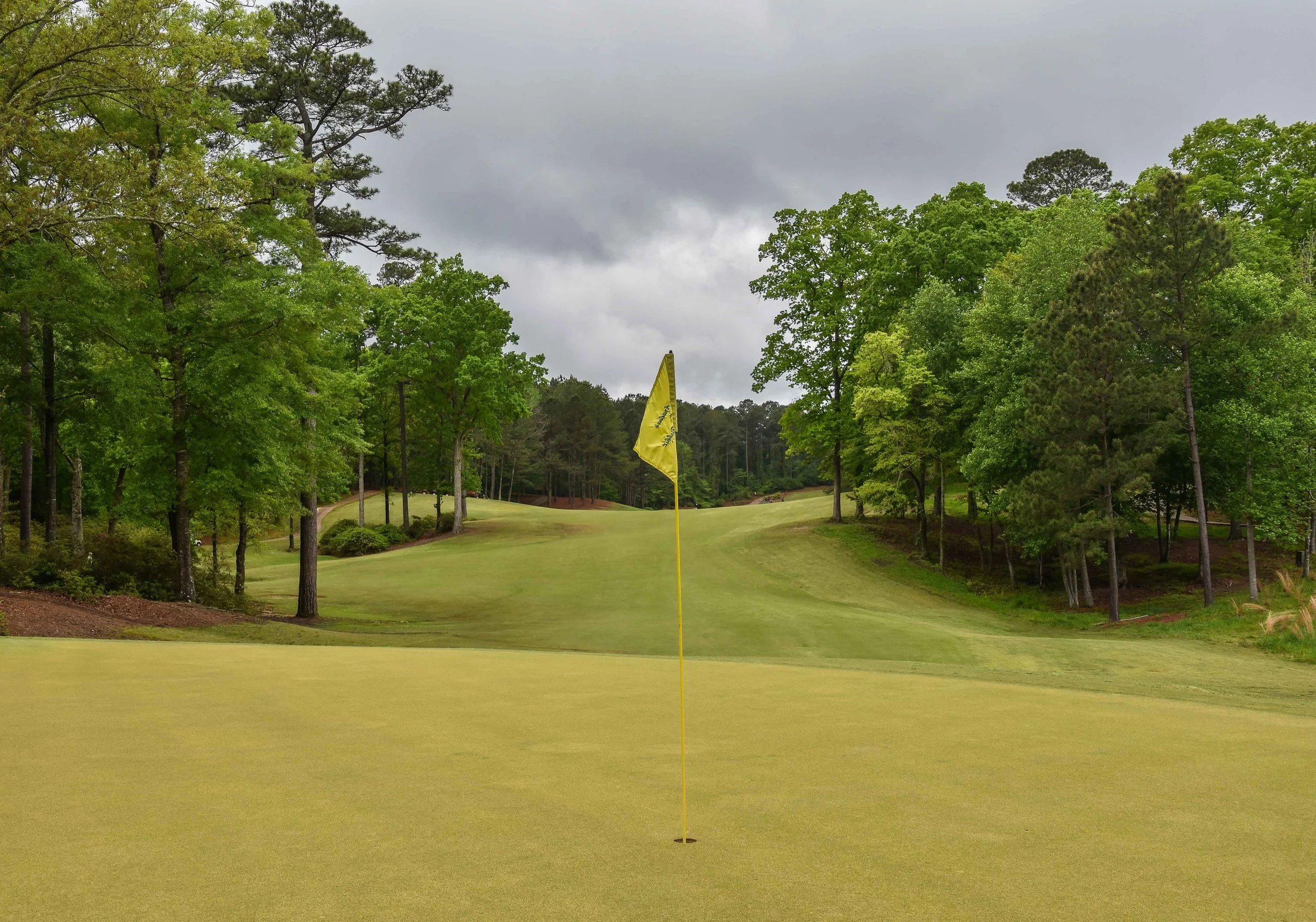 Dancing Rabbit - Azaleas1-20.jpg