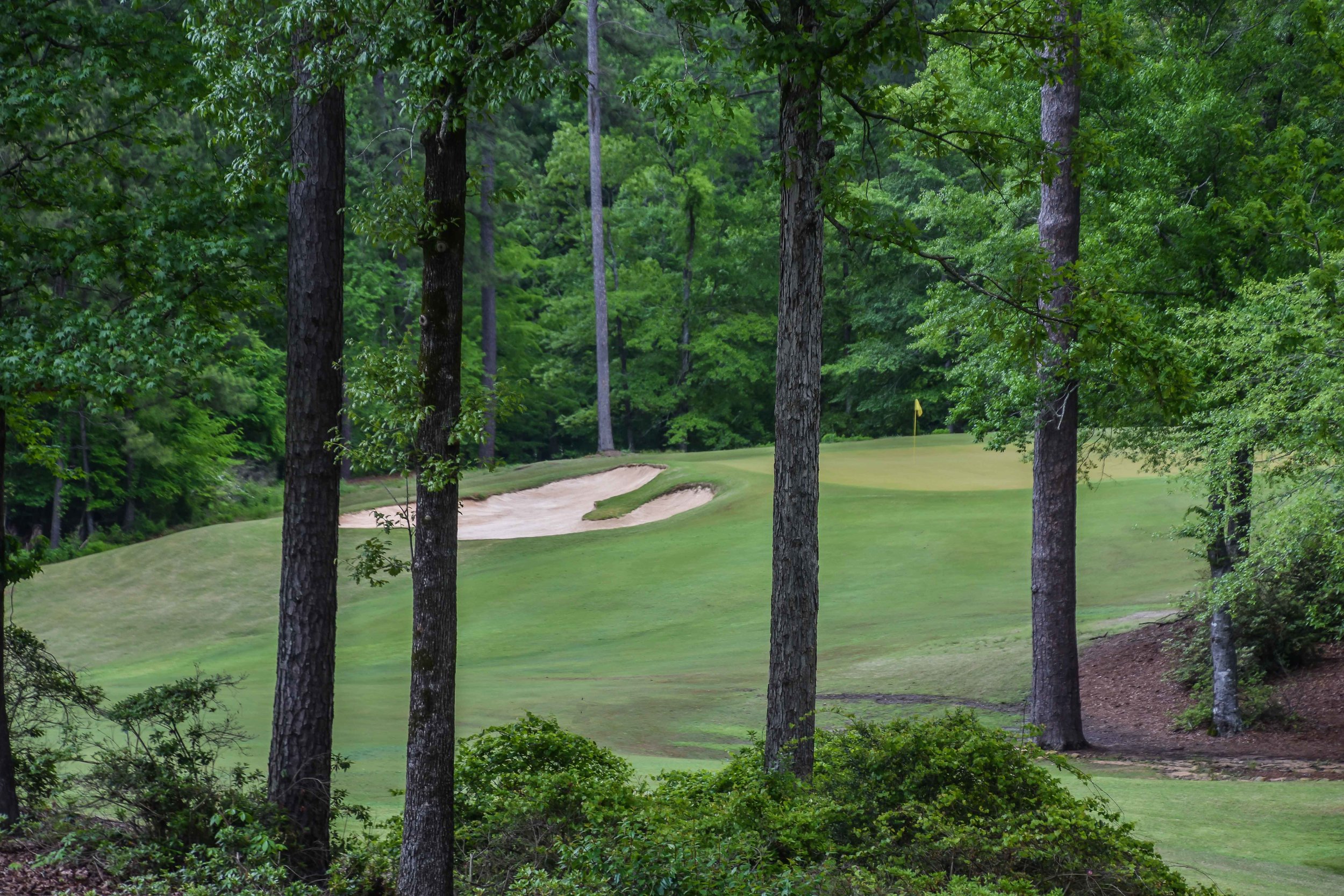 Dancing Rabbit - Azaleas1-19.jpg