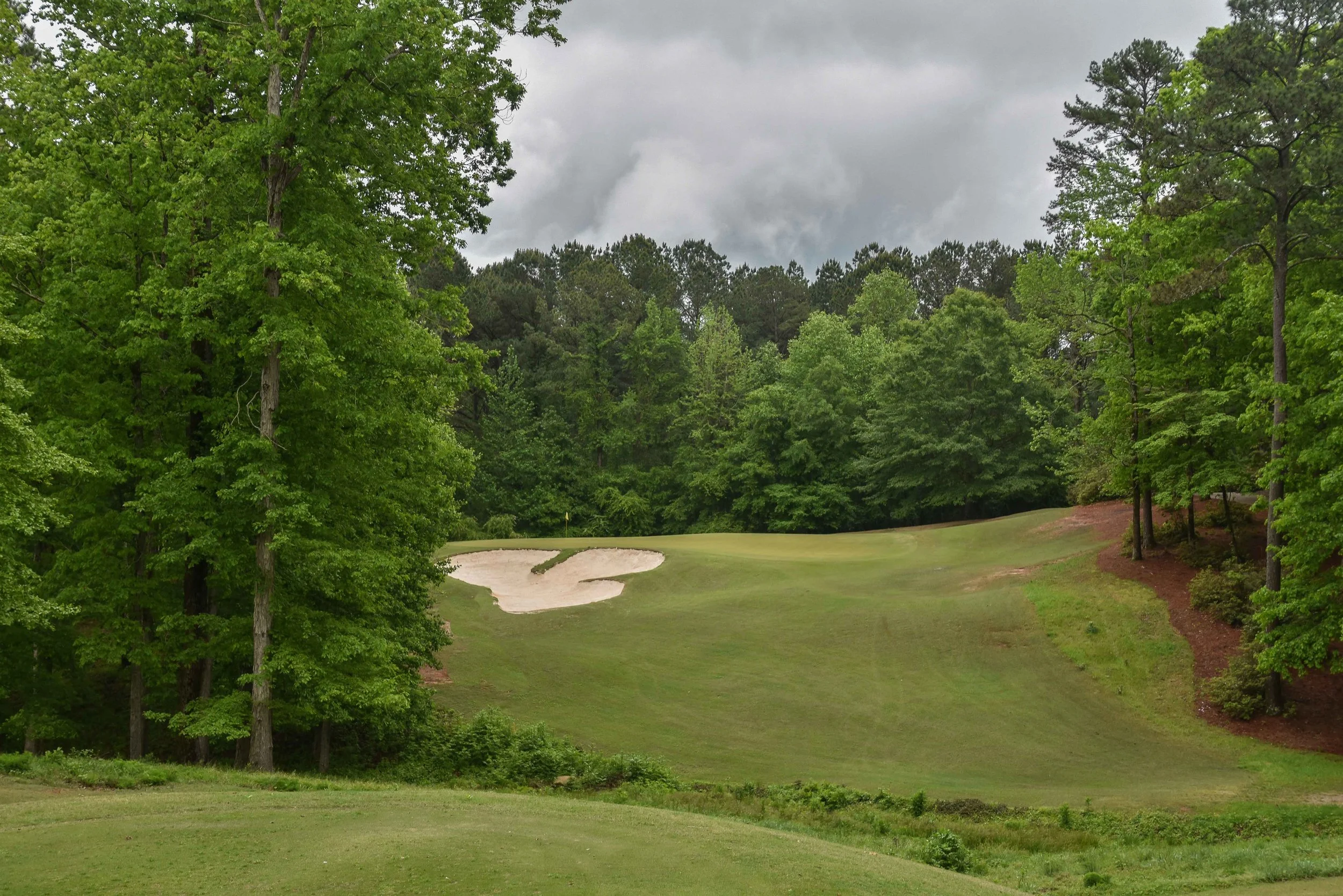 Dancing Rabbit - Azaleas1-18.jpg