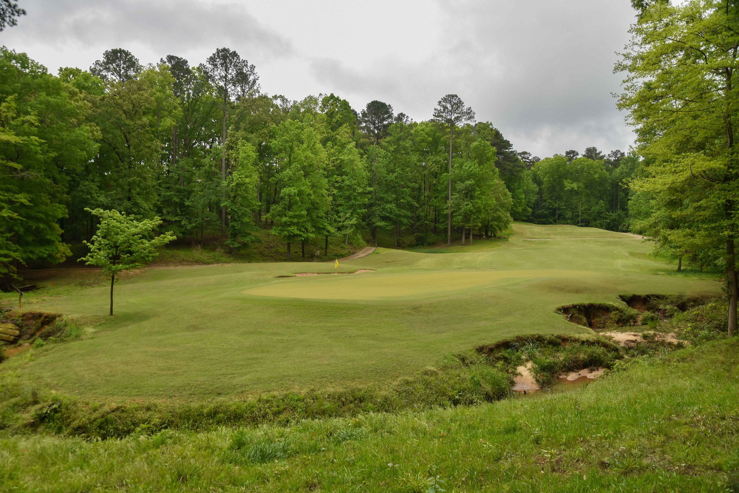 Dancing Rabbit - Azaleas1-15.jpg