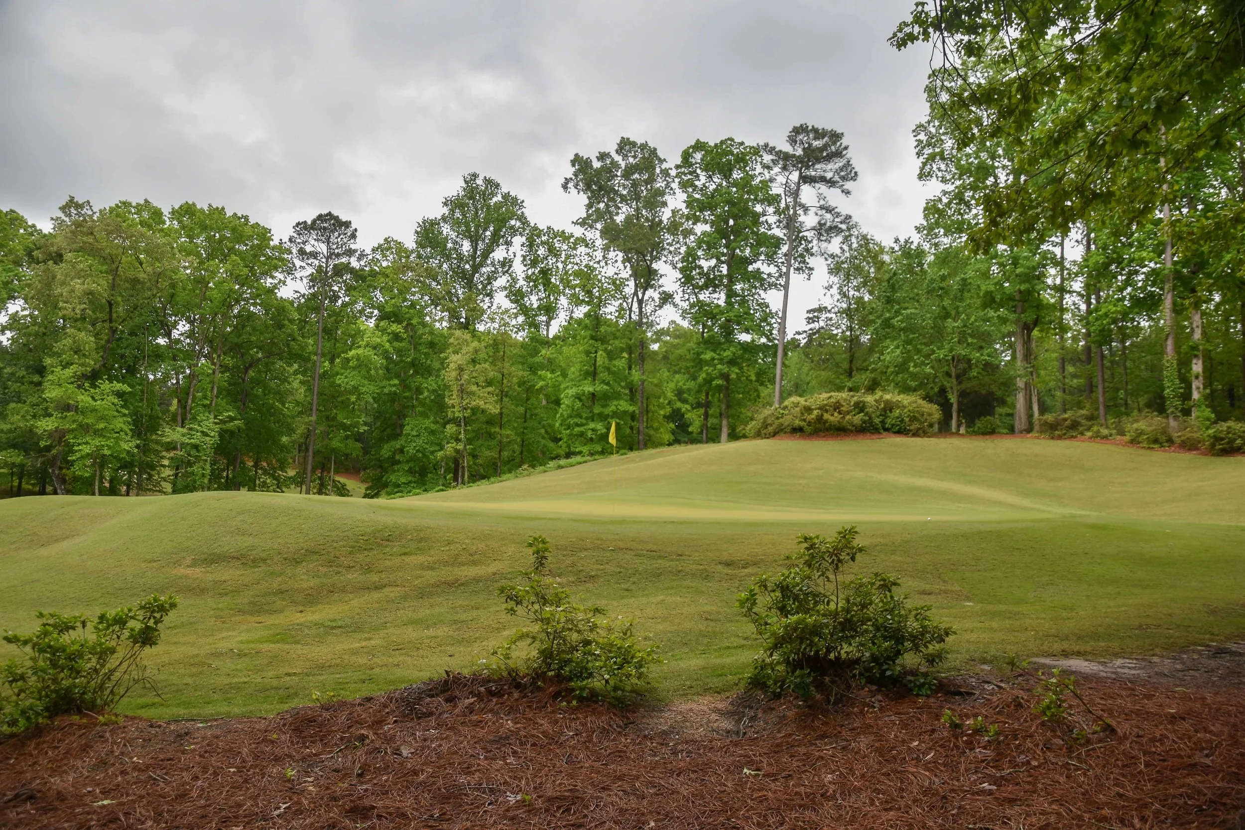Dancing Rabbit - Azaleas1-17.jpg