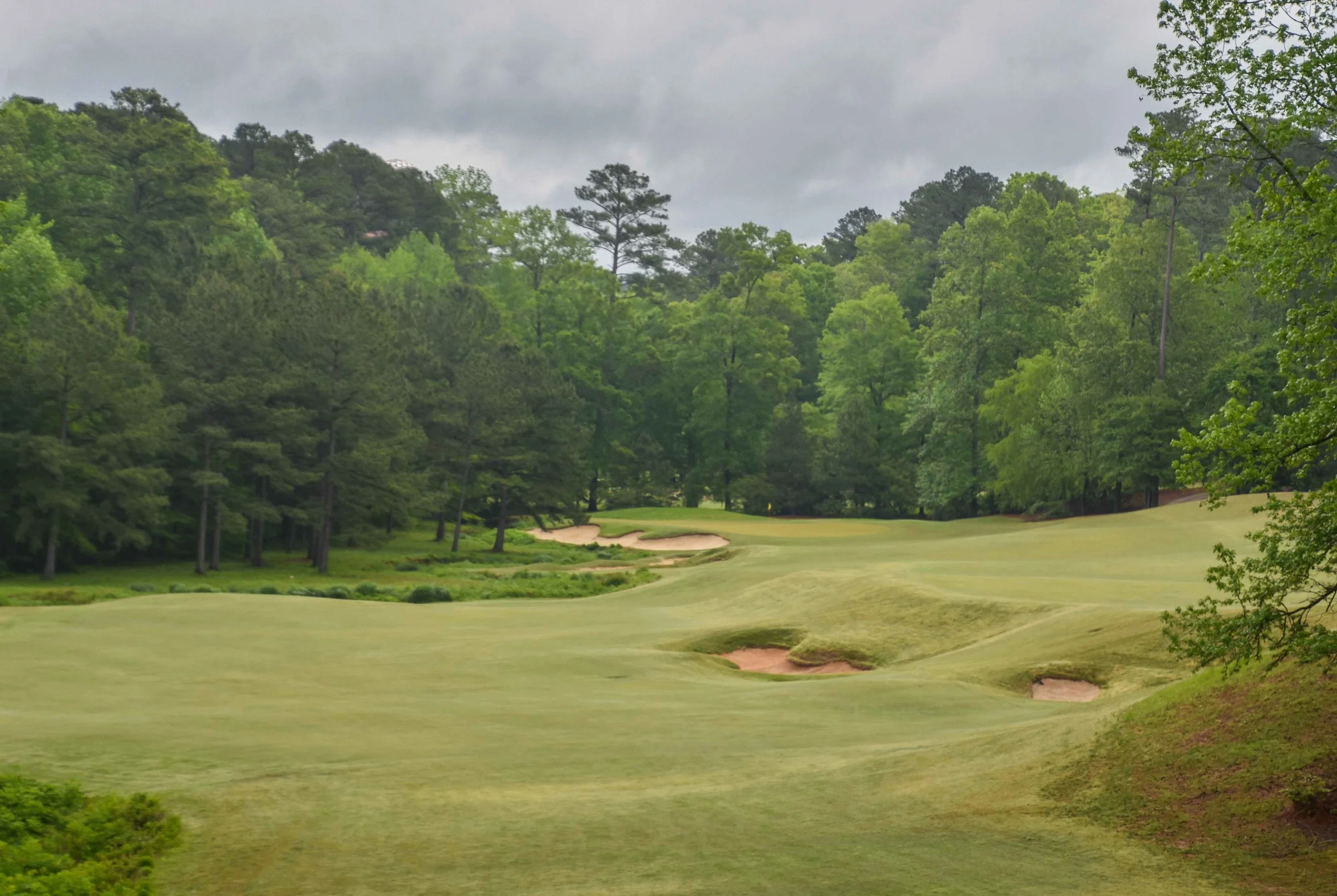 Dancing Rabbit - Azaleas1-9.jpg