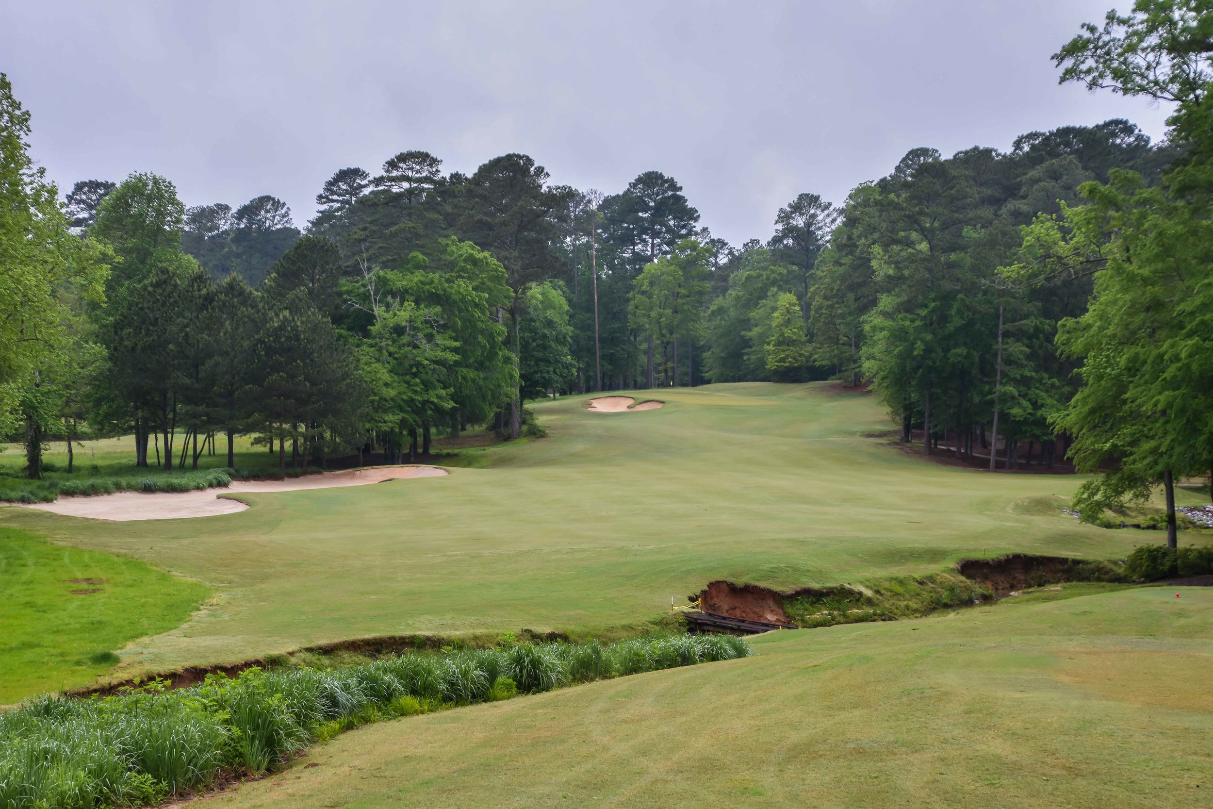 Dancing Rabbit - Azaleas1-8.jpg