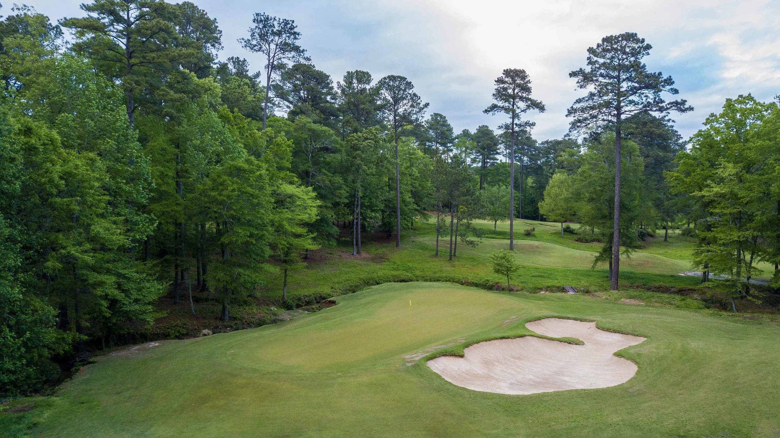 Dancing Rabbit - Azaleas1-4.jpg