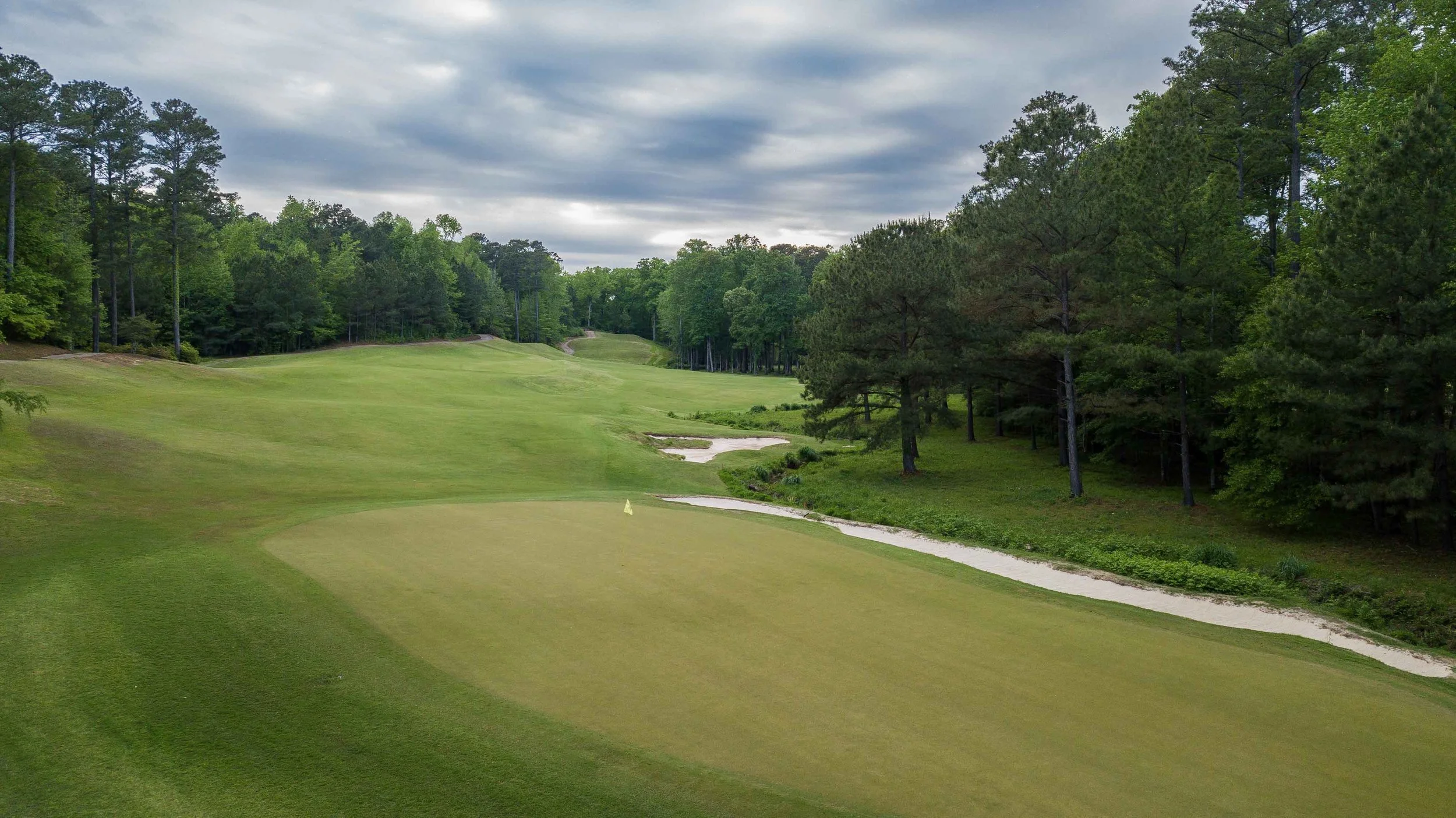 Dancing Rabbit - Azaleas1.jpg