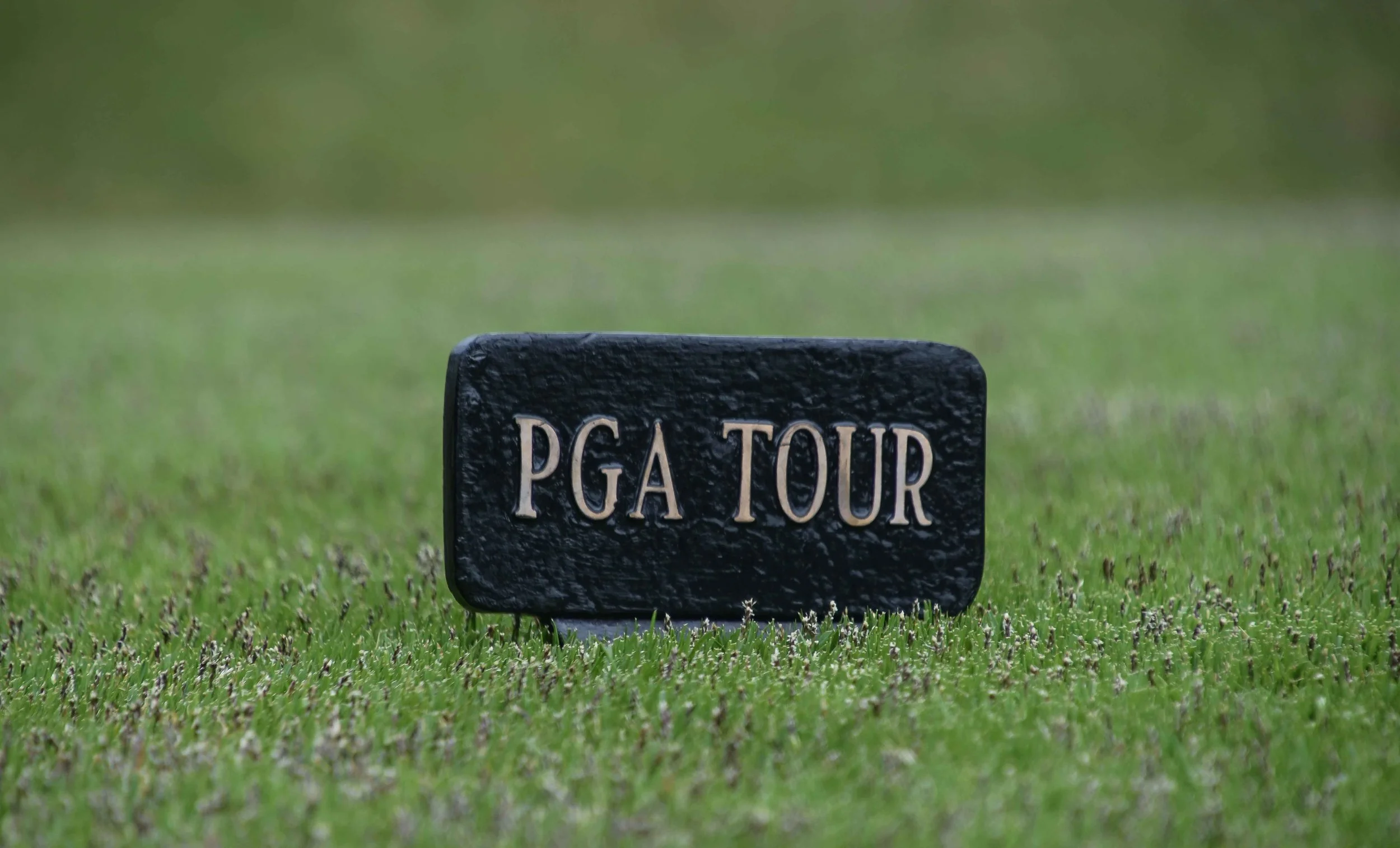 TPC Southwind1-45.jpg