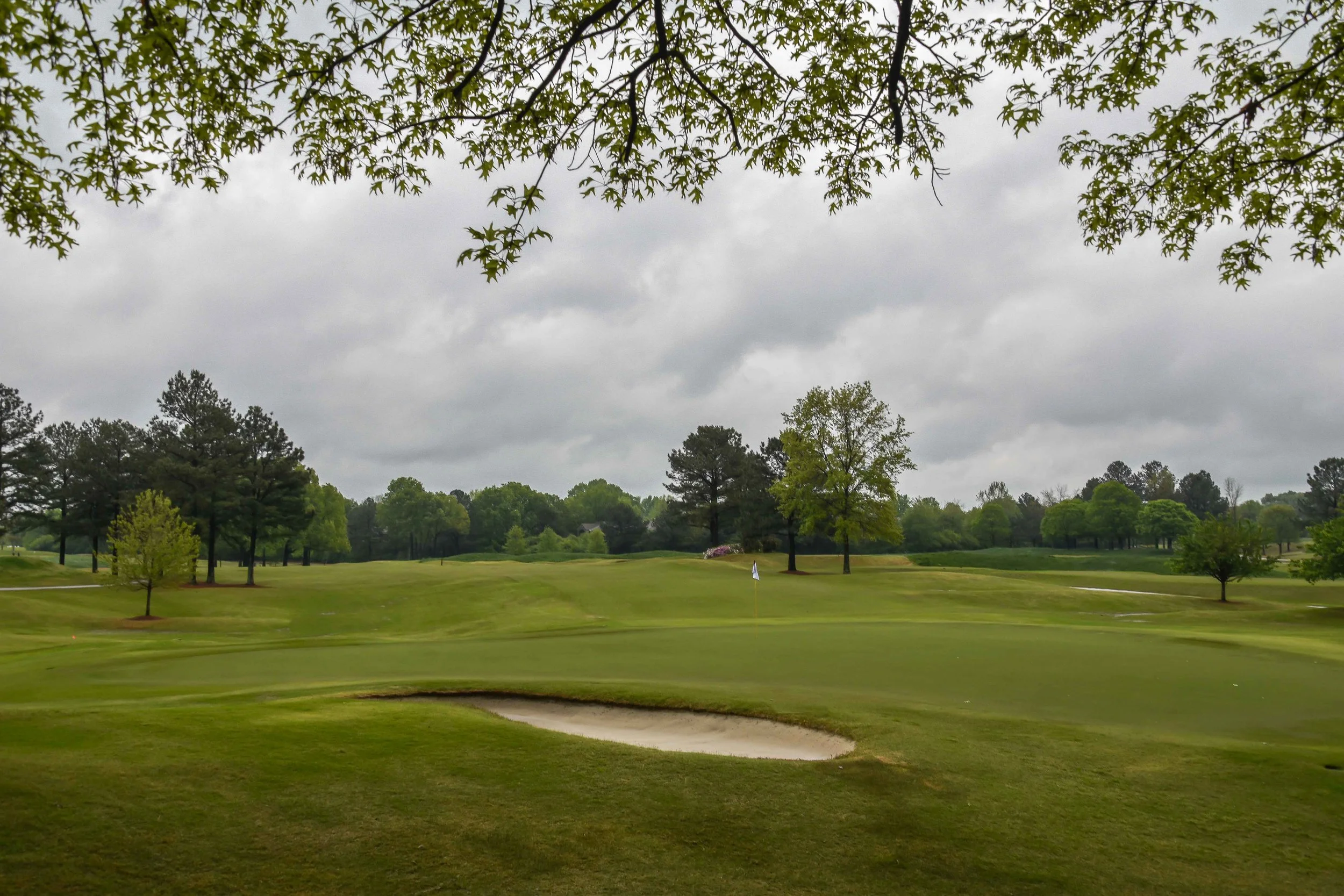 TPC Southwind1-4.jpg