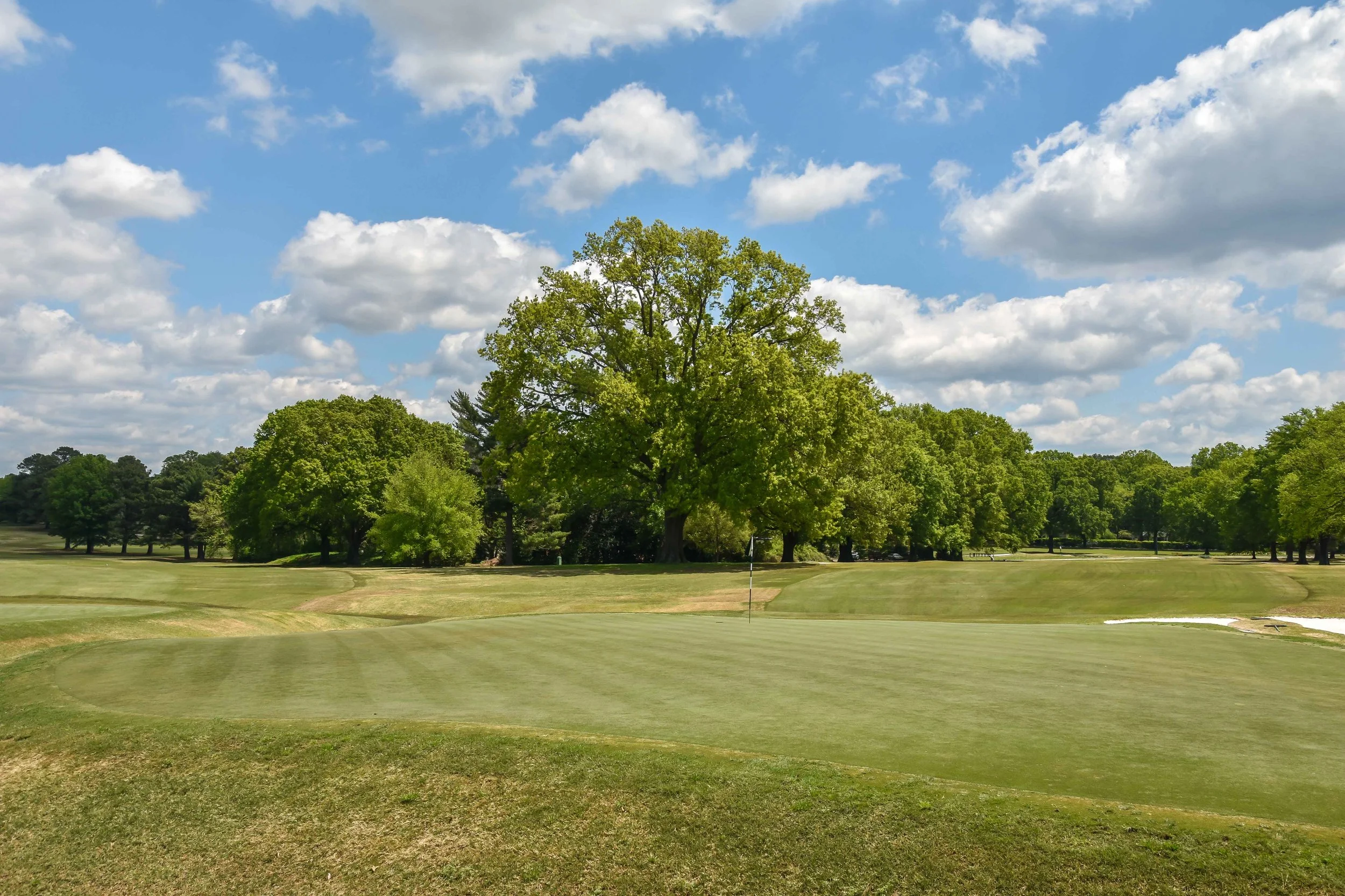 Memphis CC1-56.jpg