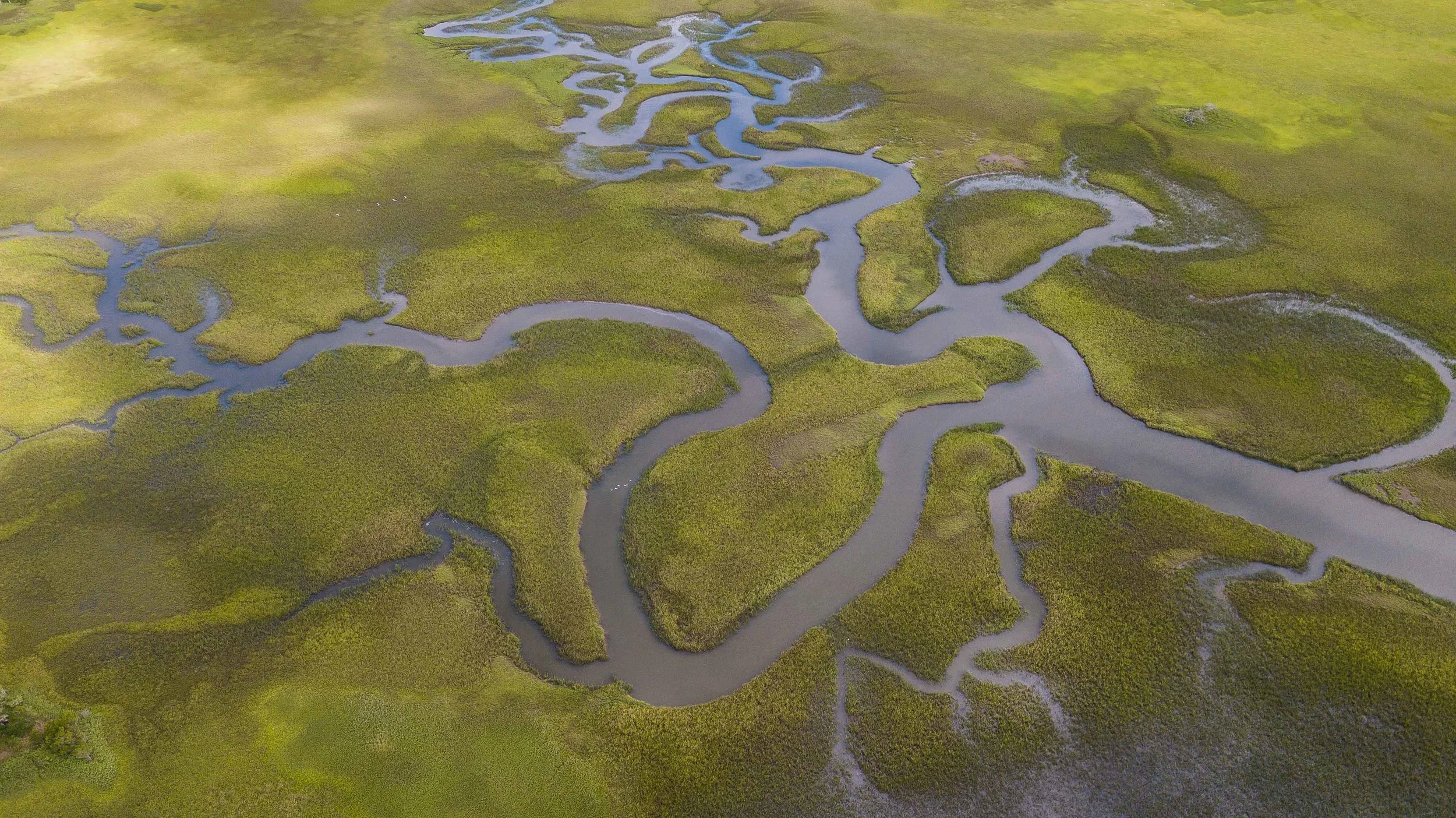 DJI_0154.jpg