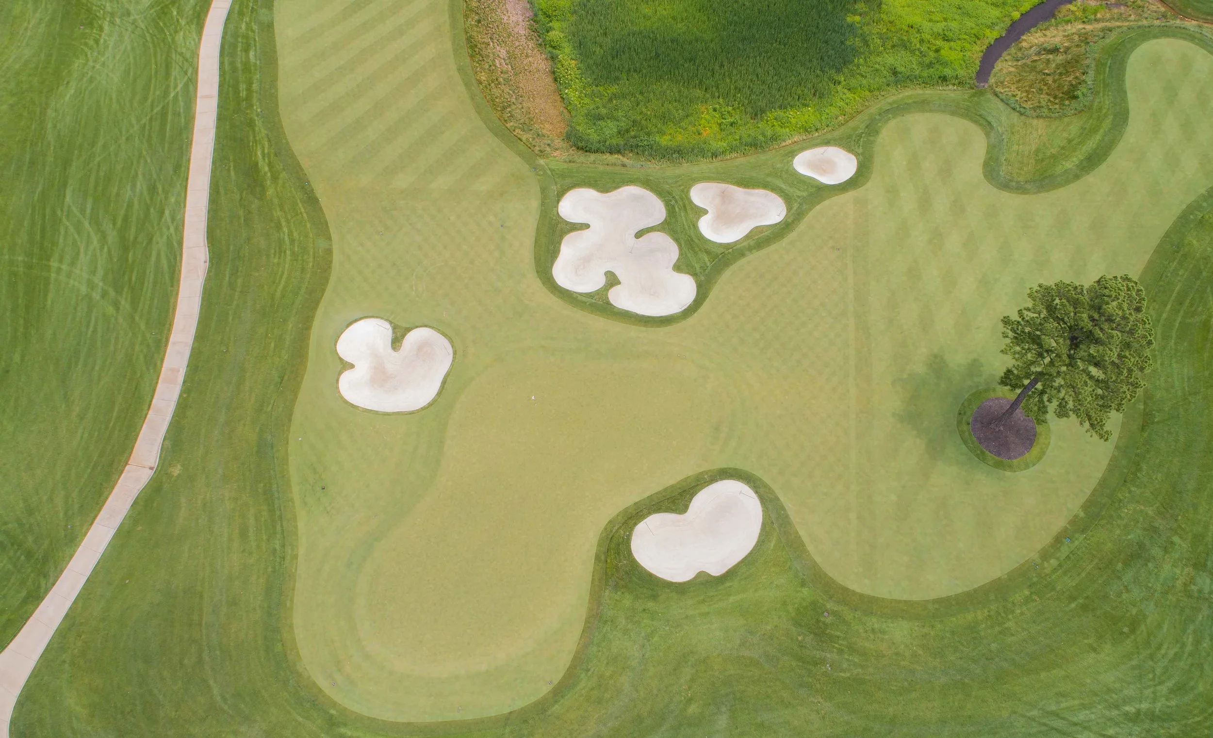 DJI_0008.jpg