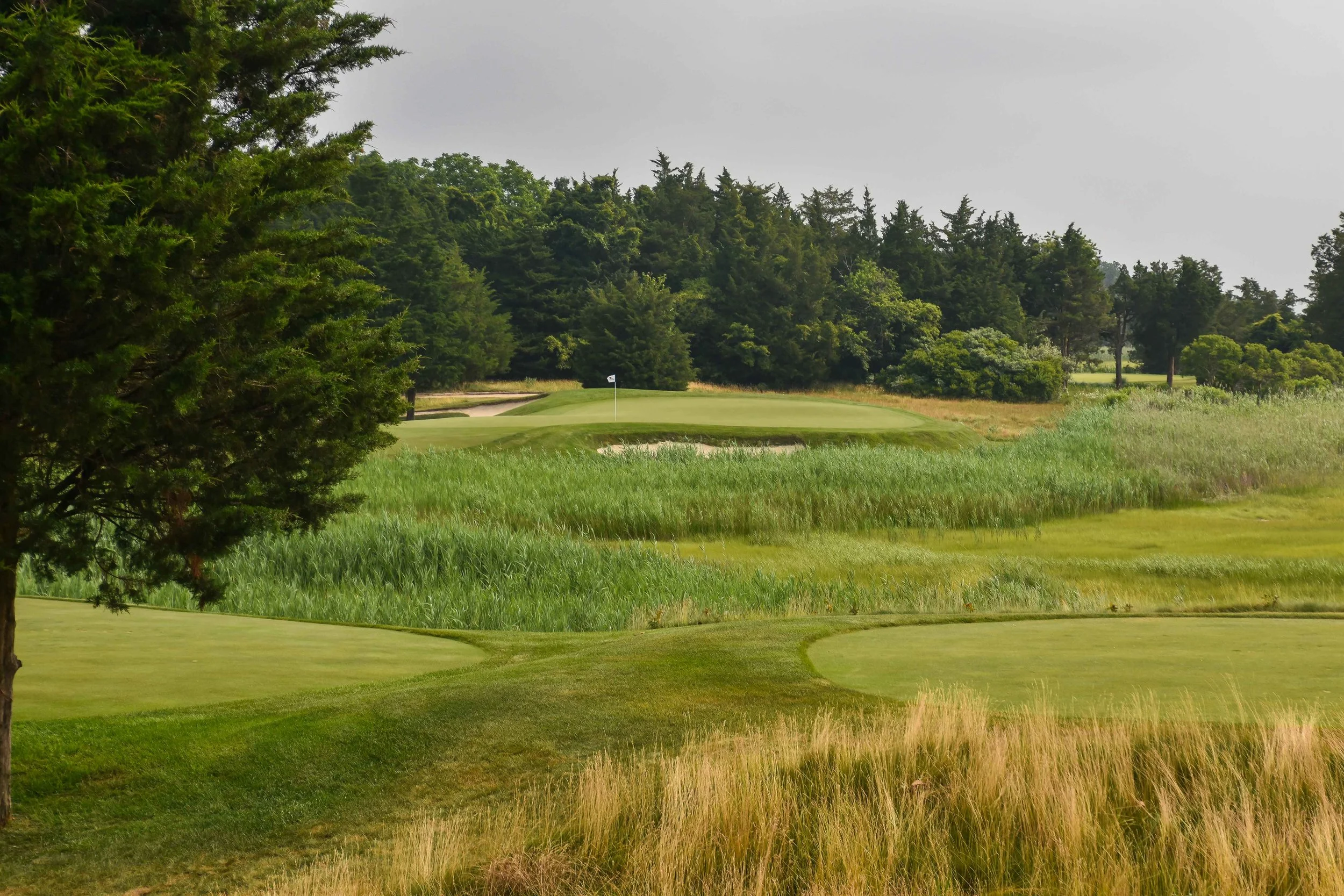 The 2nd hole... scene of the fly attack.
