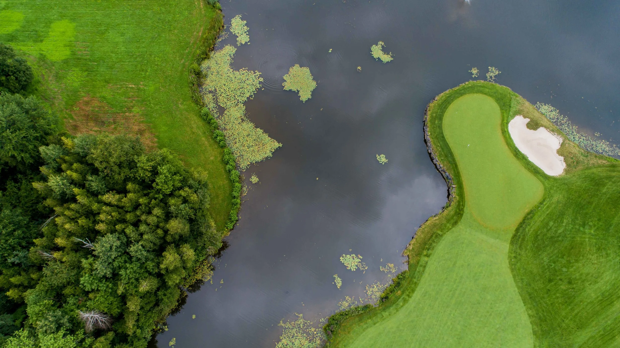 DJI_0072.jpg