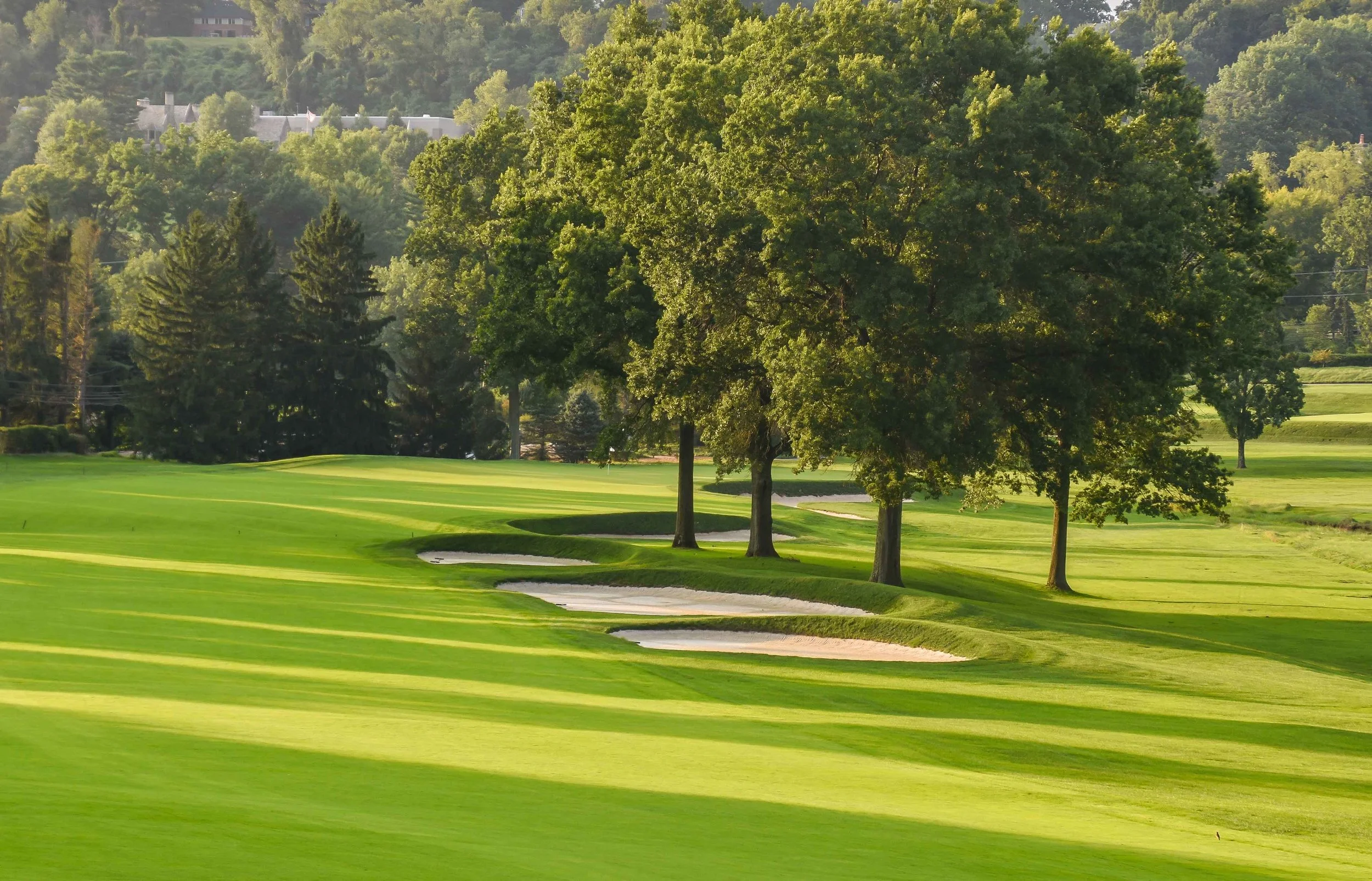 PJK_5518.jpg
