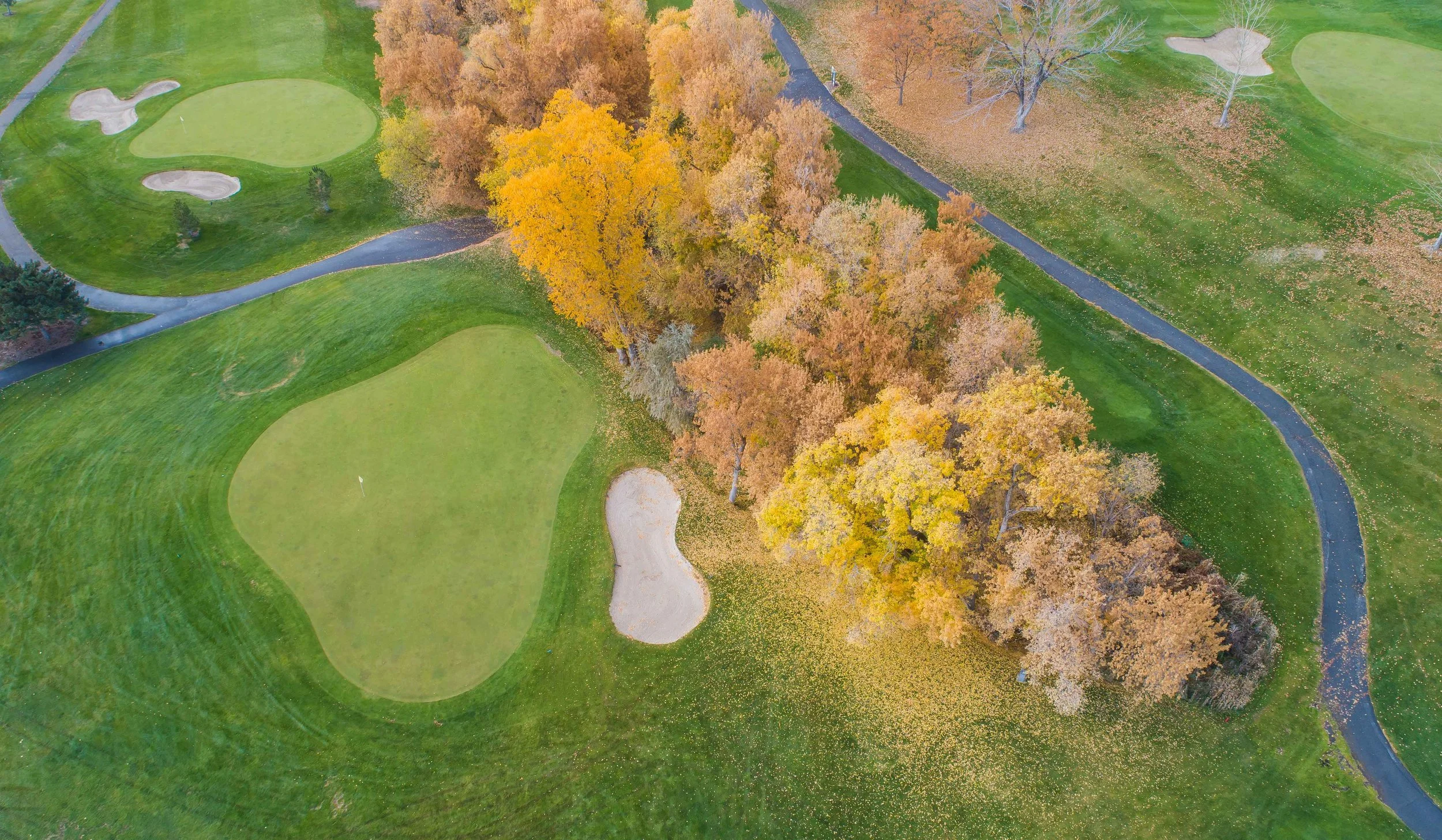 DJI_0004.jpg