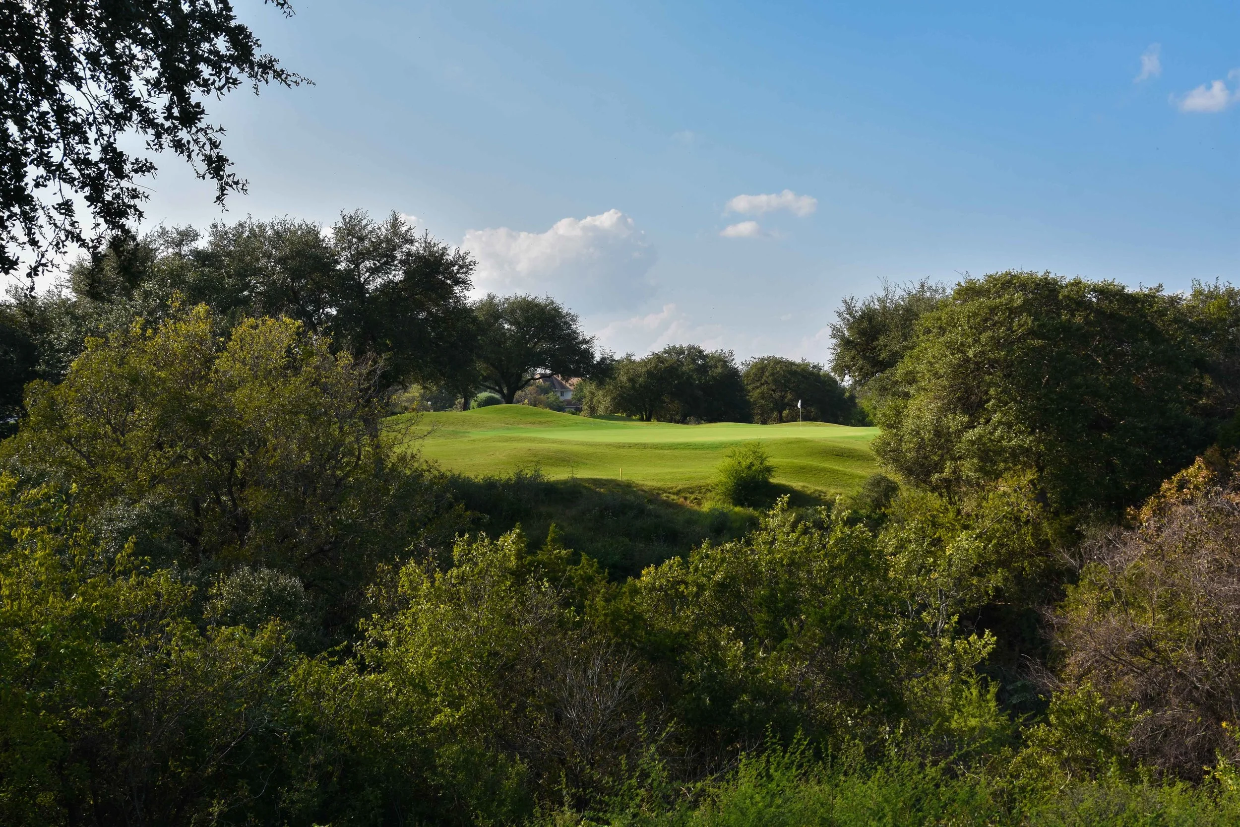 The 8th hole at Barton Creek Country Club. A near ace miss here.