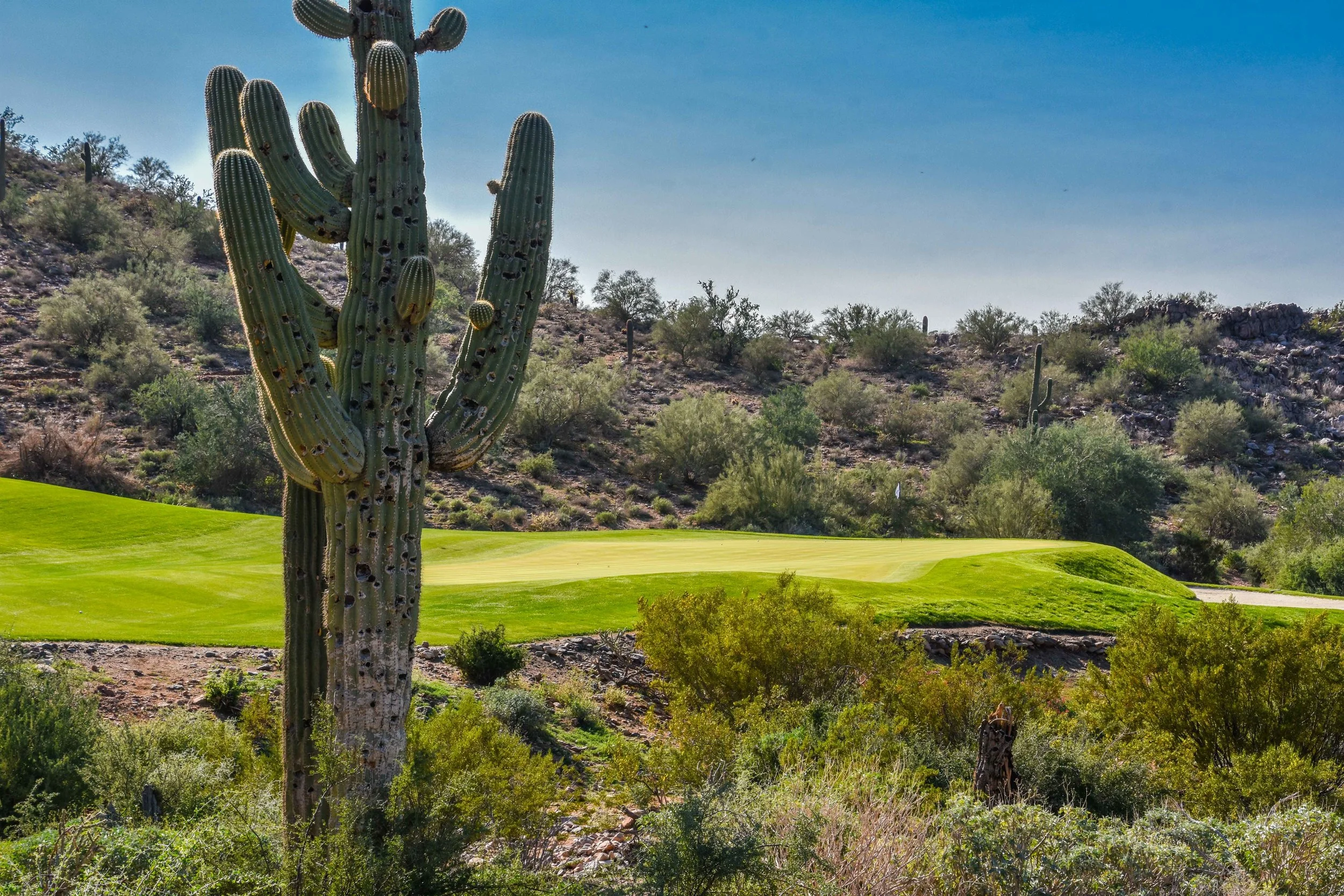 Things got started off right at Sliverleaf Golf Club in Scottsdale.