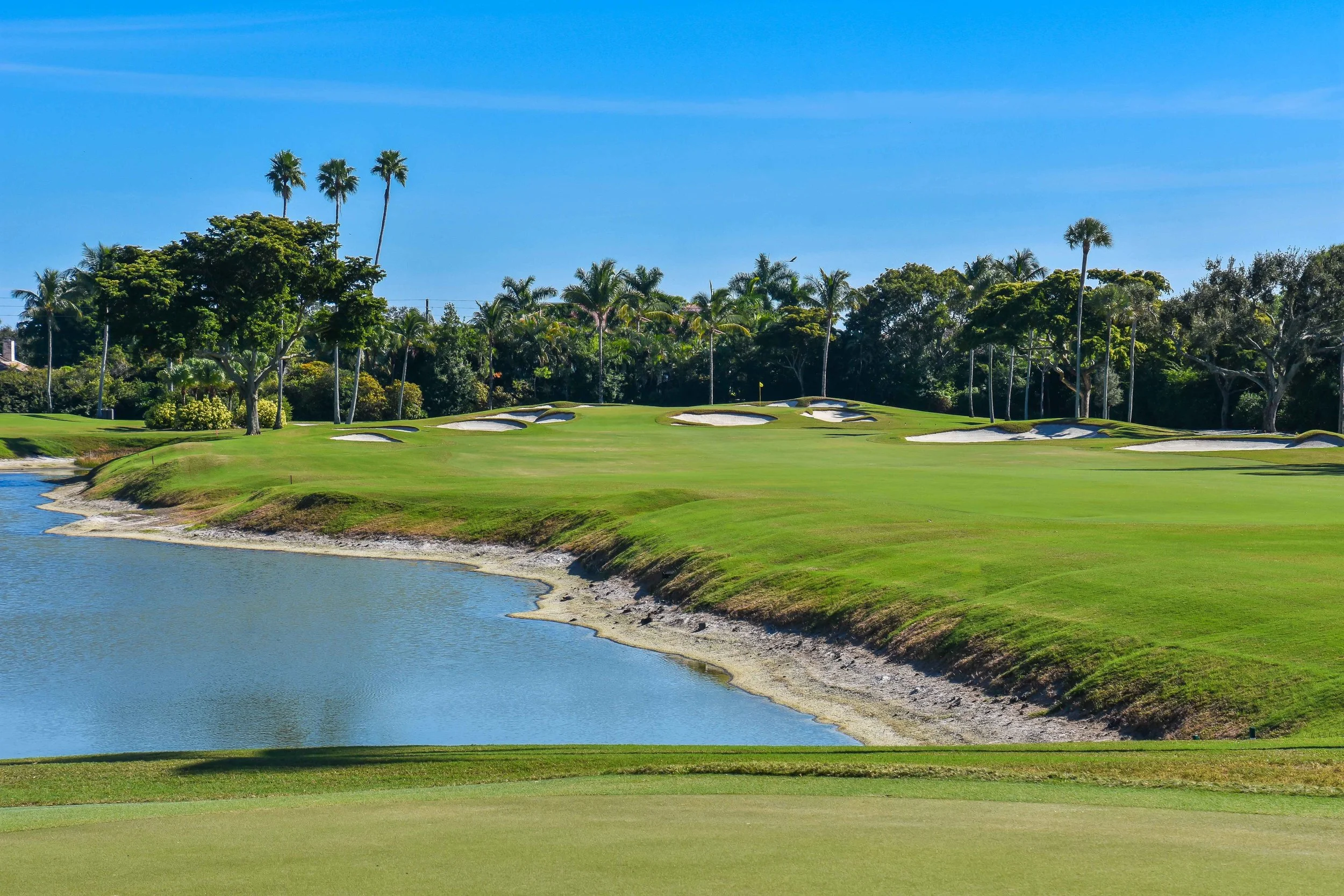 PJK_0775.jpg