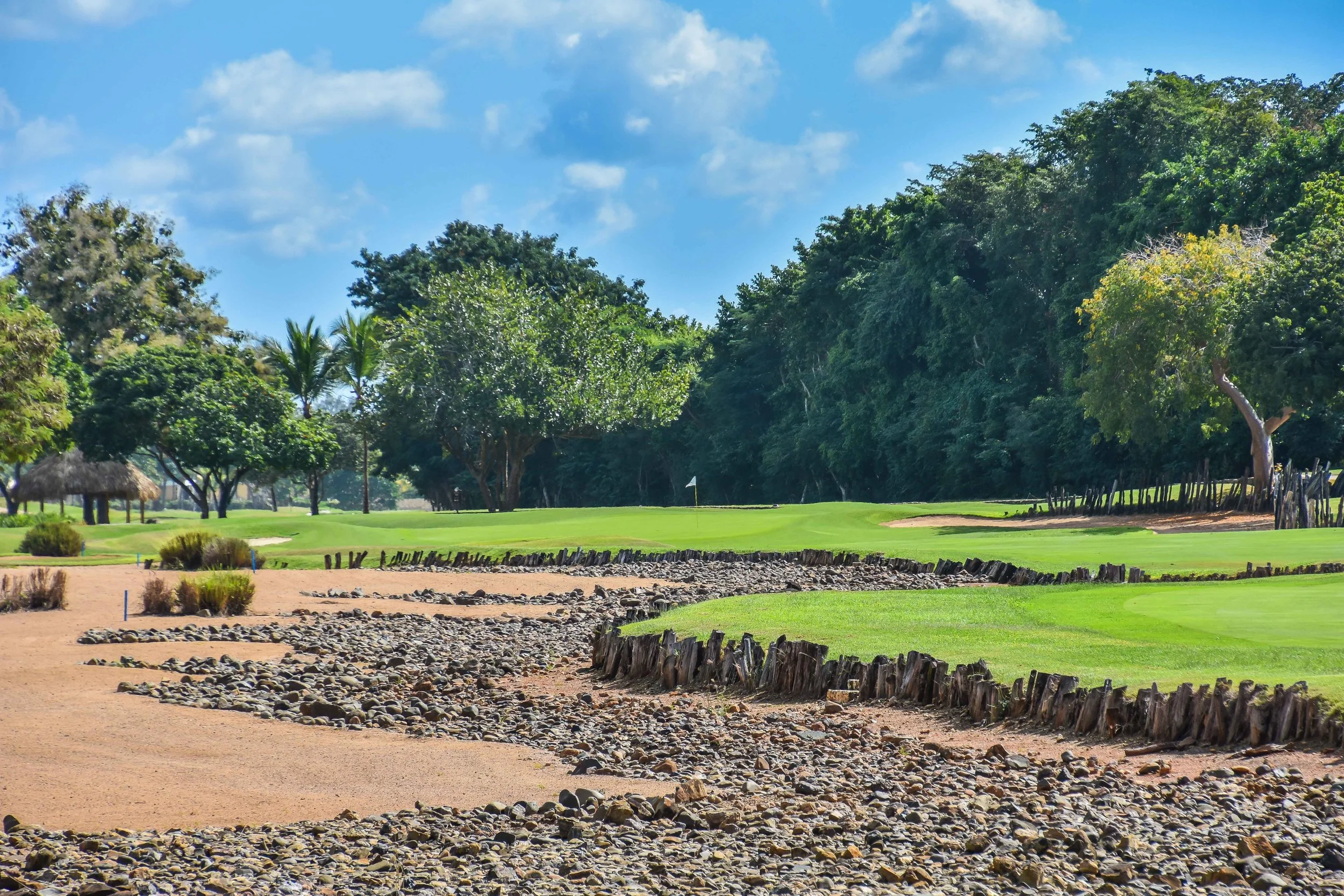 The 2nd hole at Teeth of the Dog.